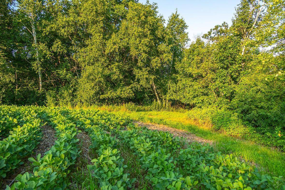 TBD County Road S, Blair, WI 54616
