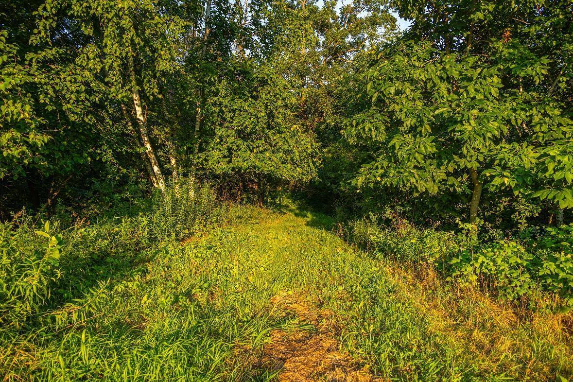 TBD County Road S, Blair, WI 54616