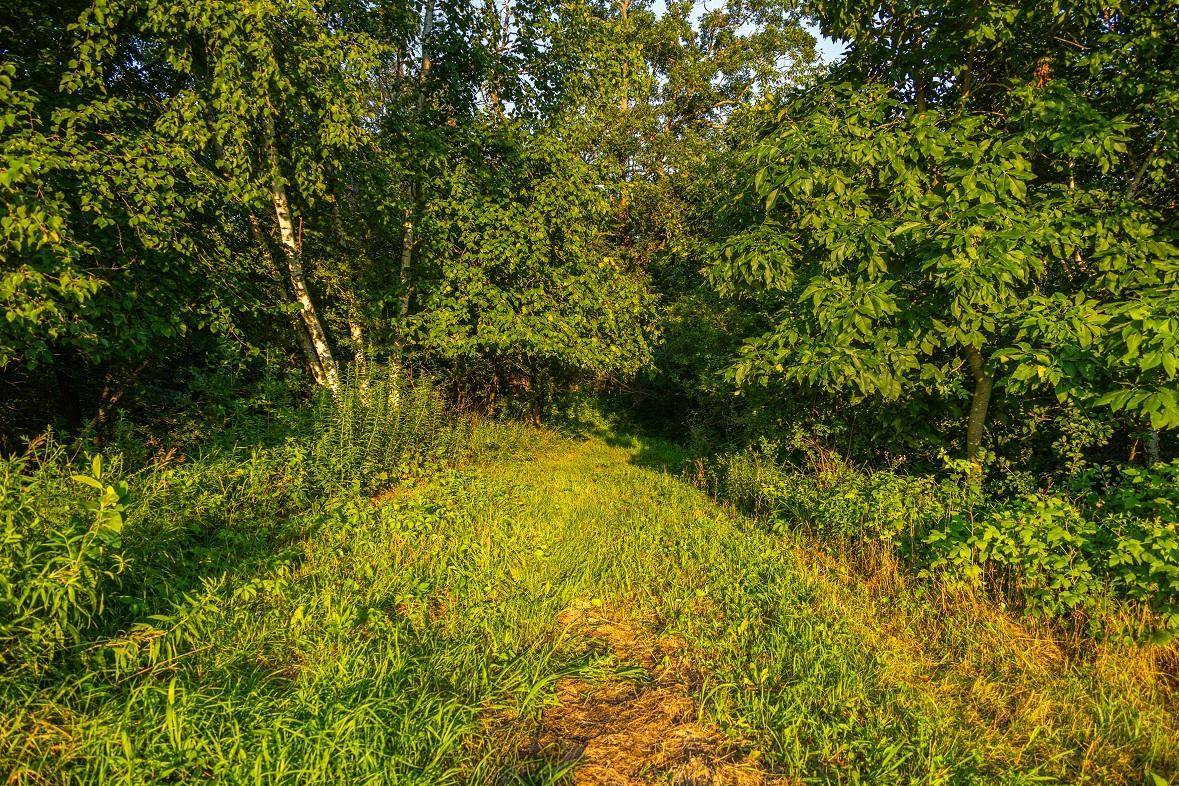 TBD County S RD, Blair, WI 54616
