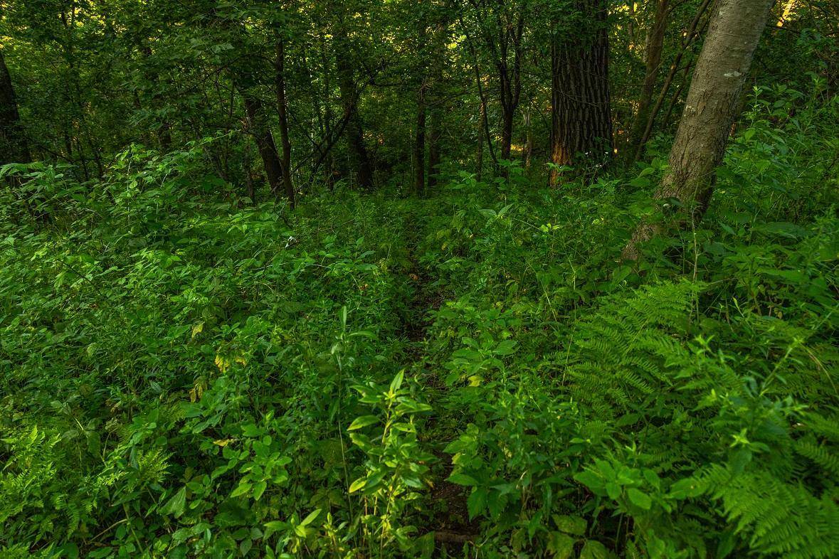 0 County Road S, Blair, WI 54616