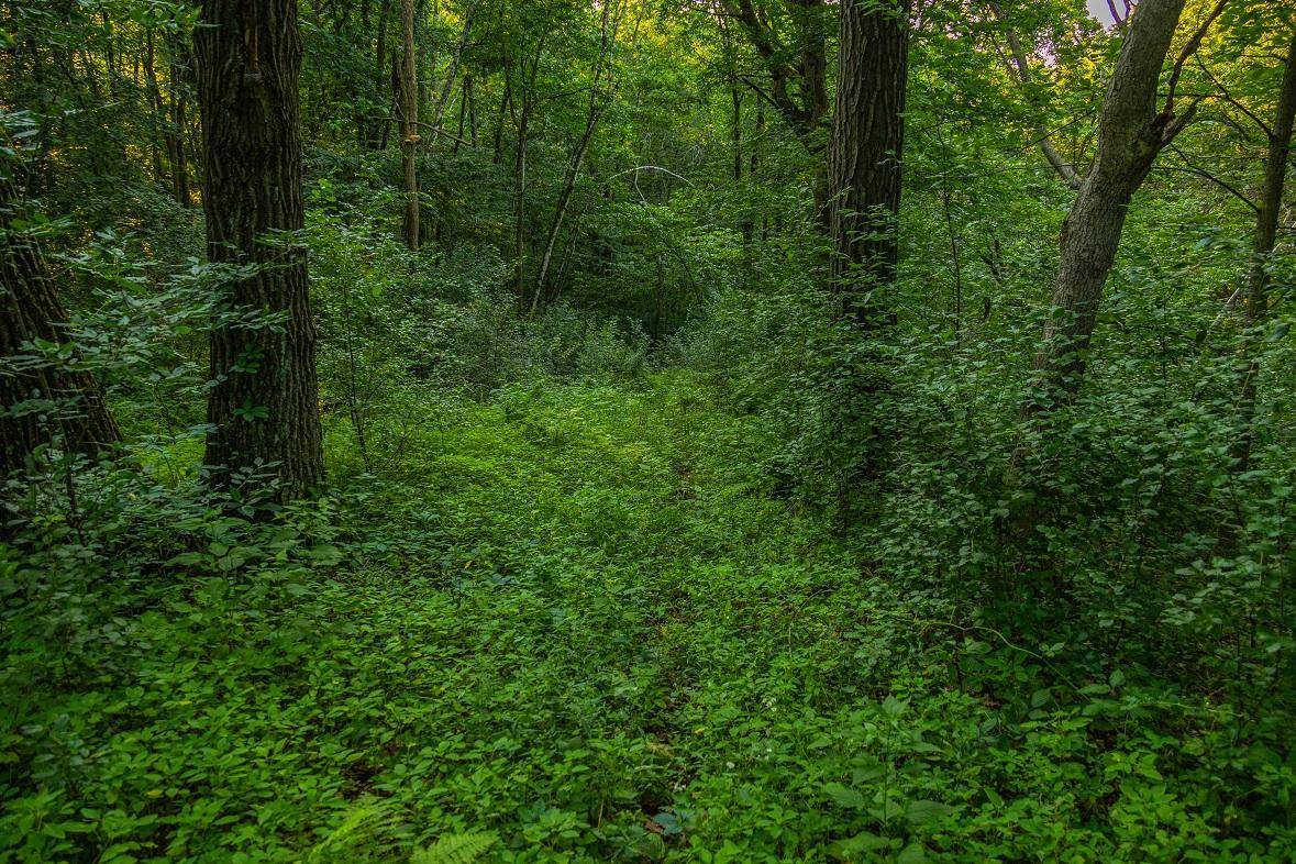 0 County Road S, Blair, WI 54616