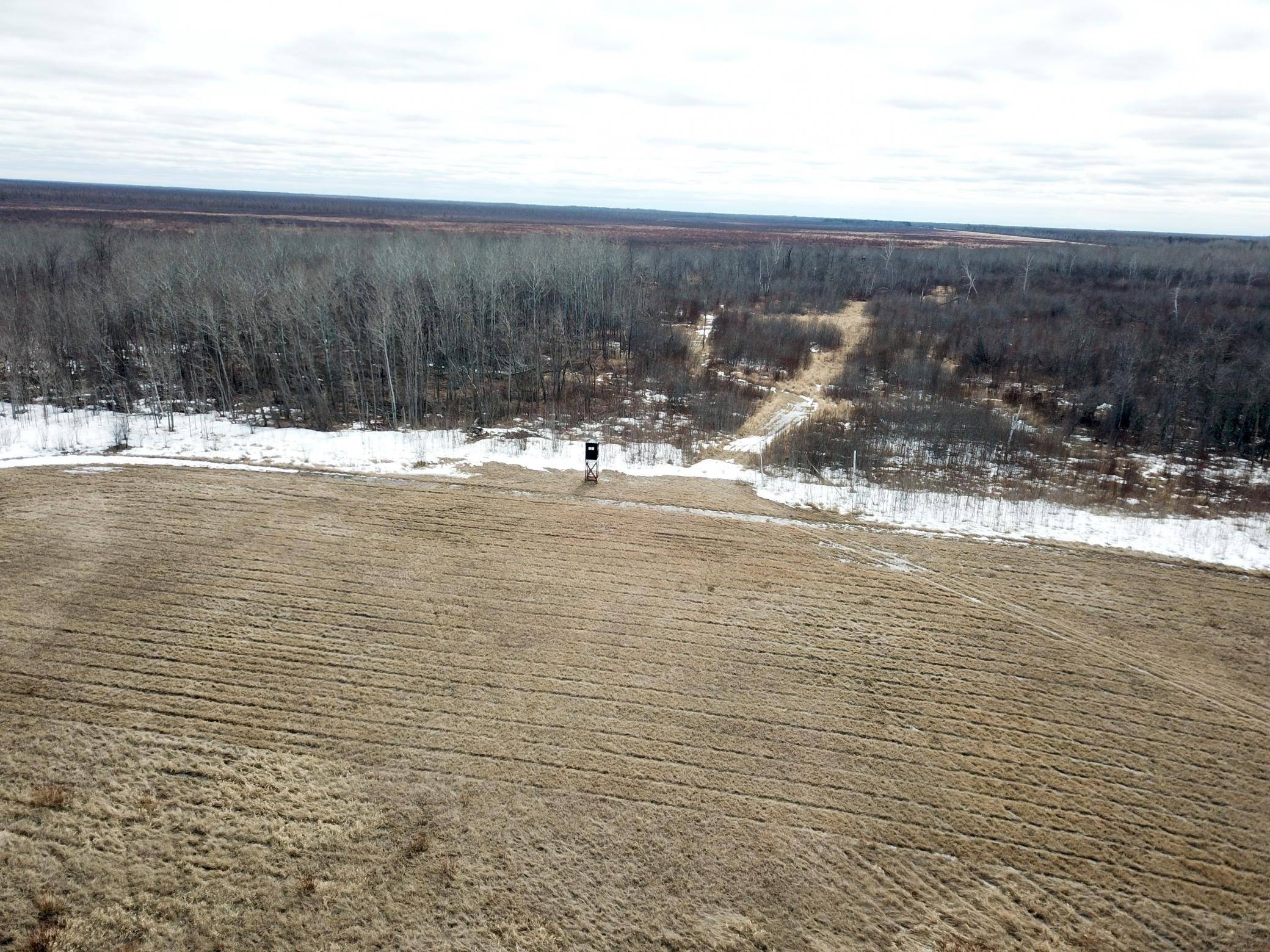 3228 County Road 1 SW, Baudette, MN 56623