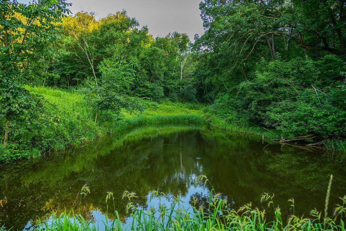 0 Co Rd S, Blair, WI 54616