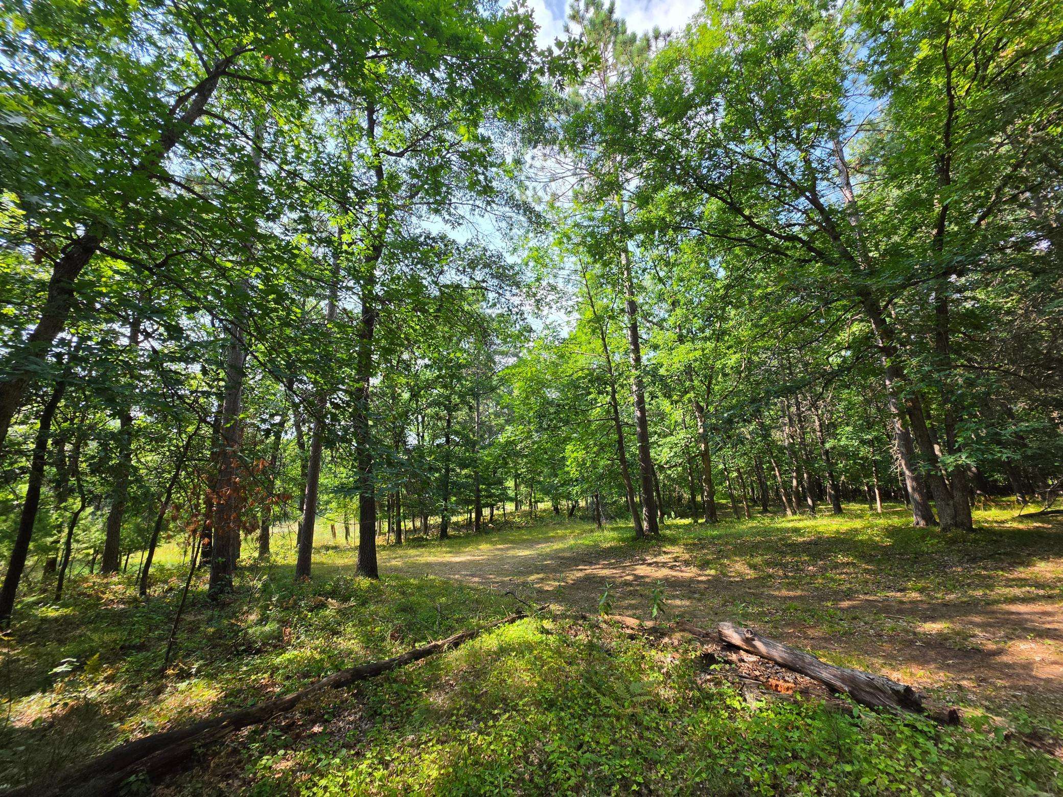 xxx County Road H RD, Danbury, WI 54830