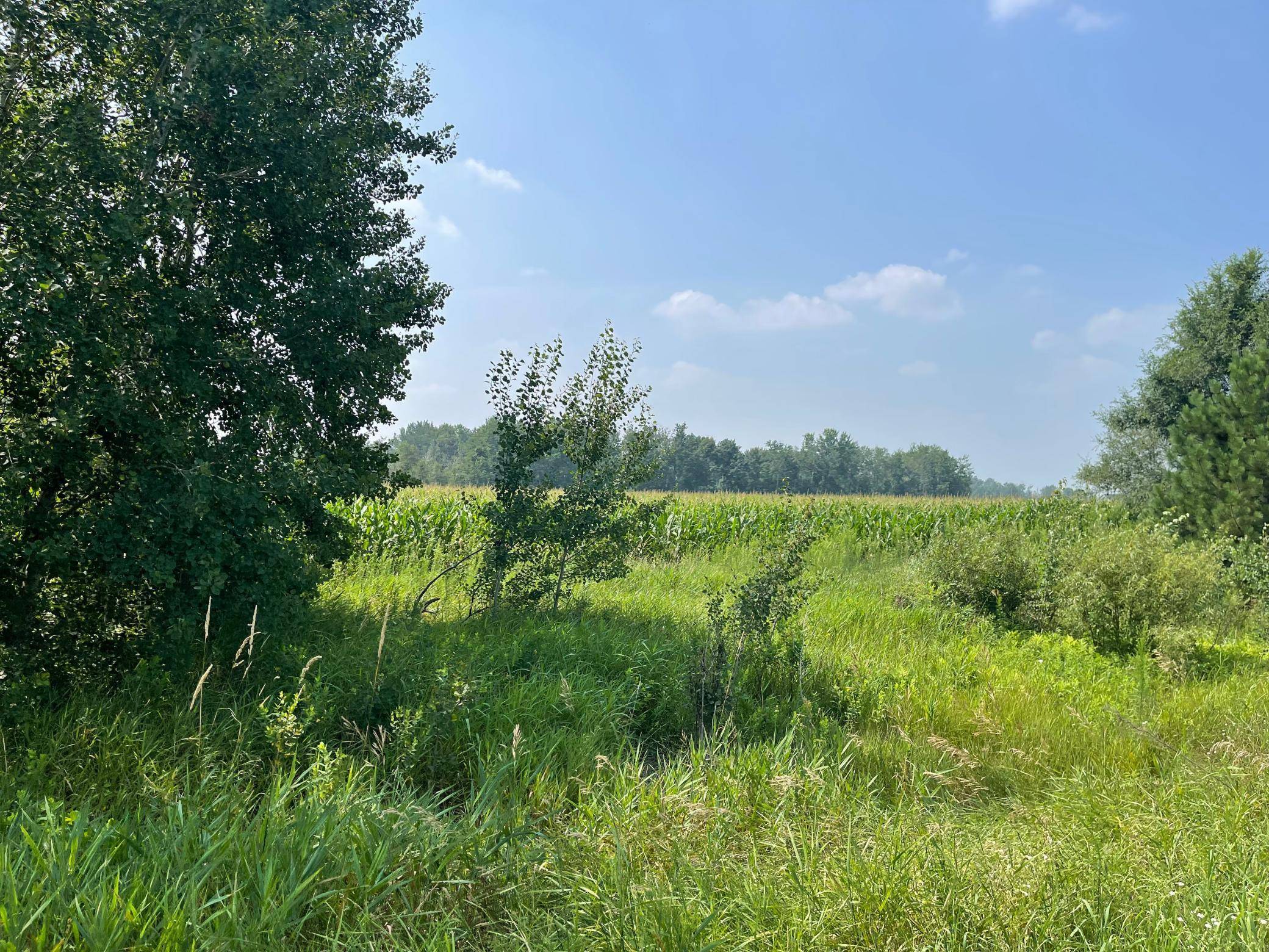 XXX 17th ST, Princeton, MN 55371