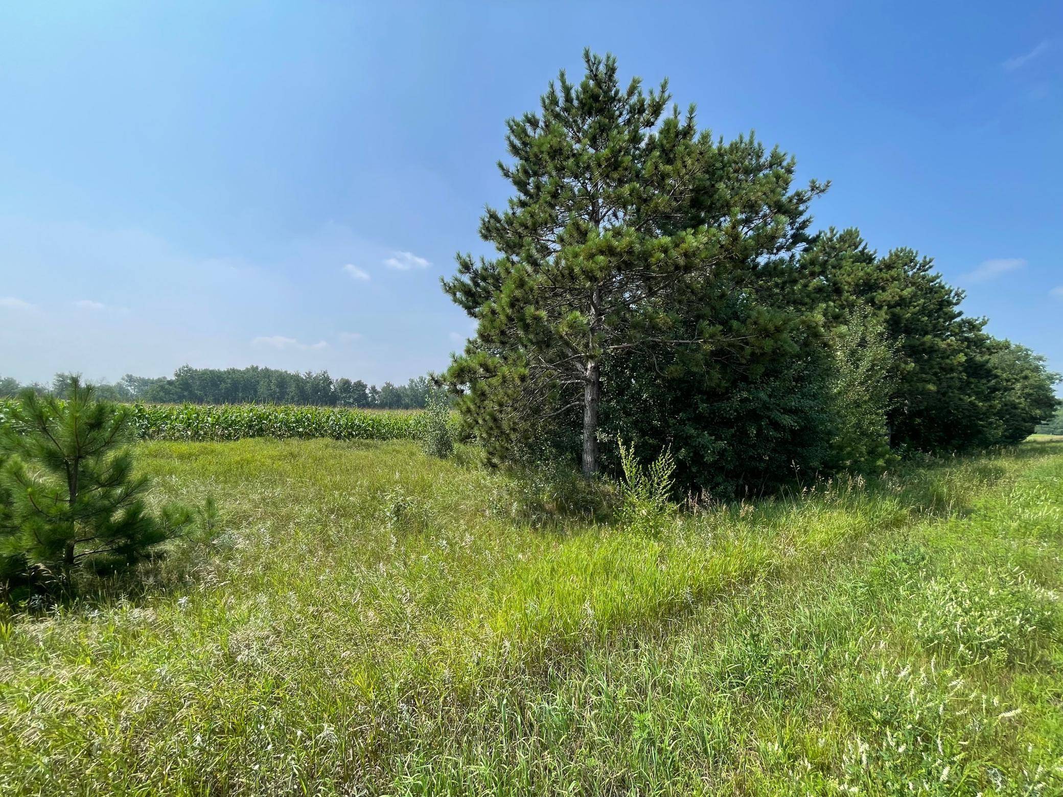 XXX 17th ST, Princeton, MN 55371
