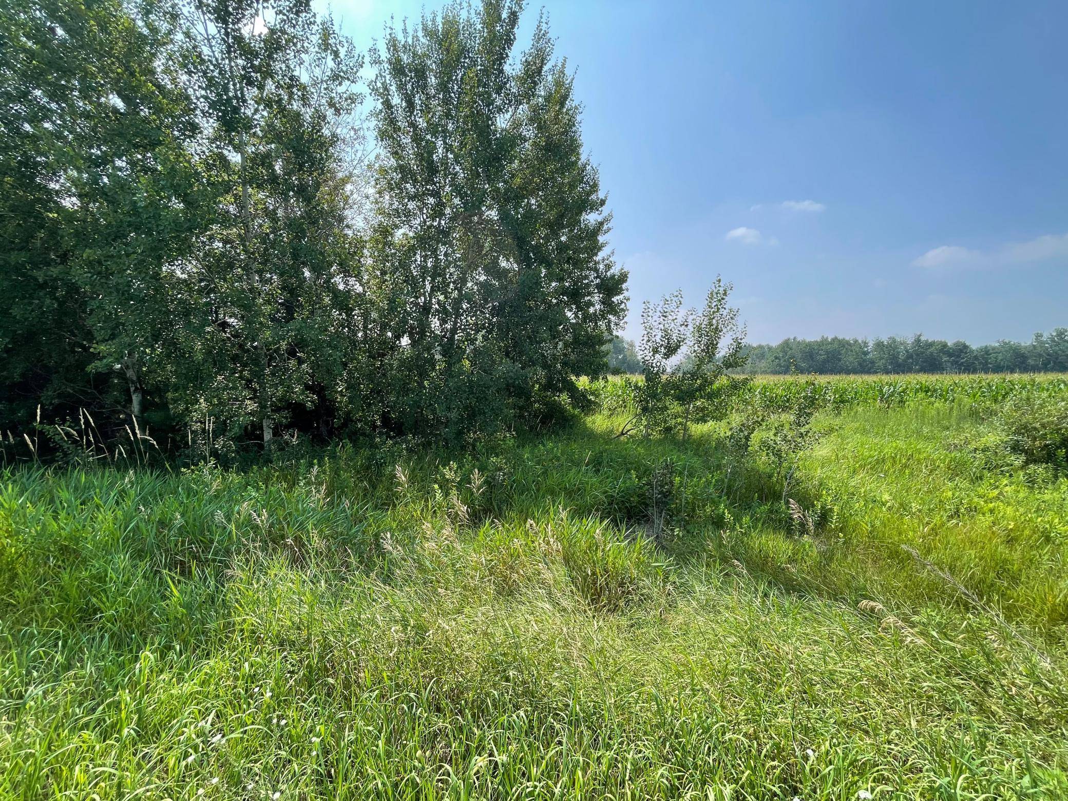 XXX 17th ST, Princeton, MN 55371