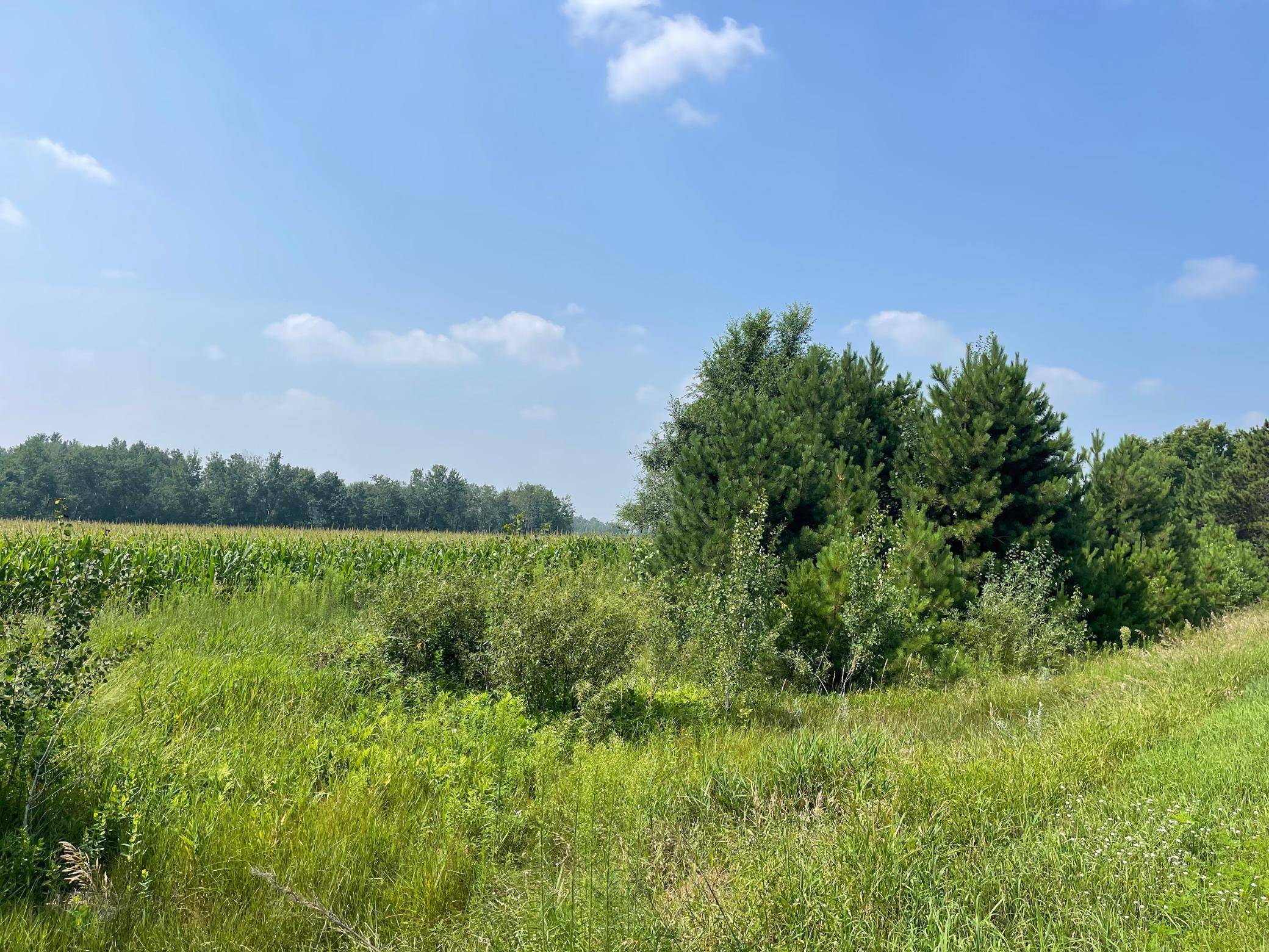 XXX 17th ST, Princeton, MN 55371