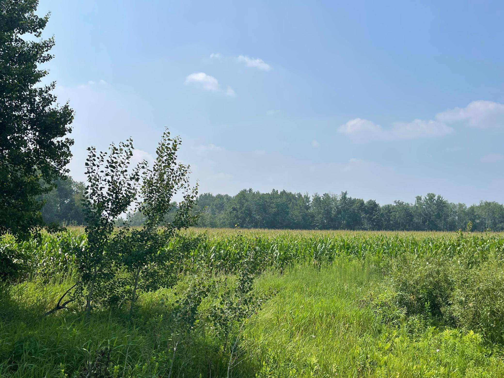 XXX 17th ST, Princeton, MN 55371