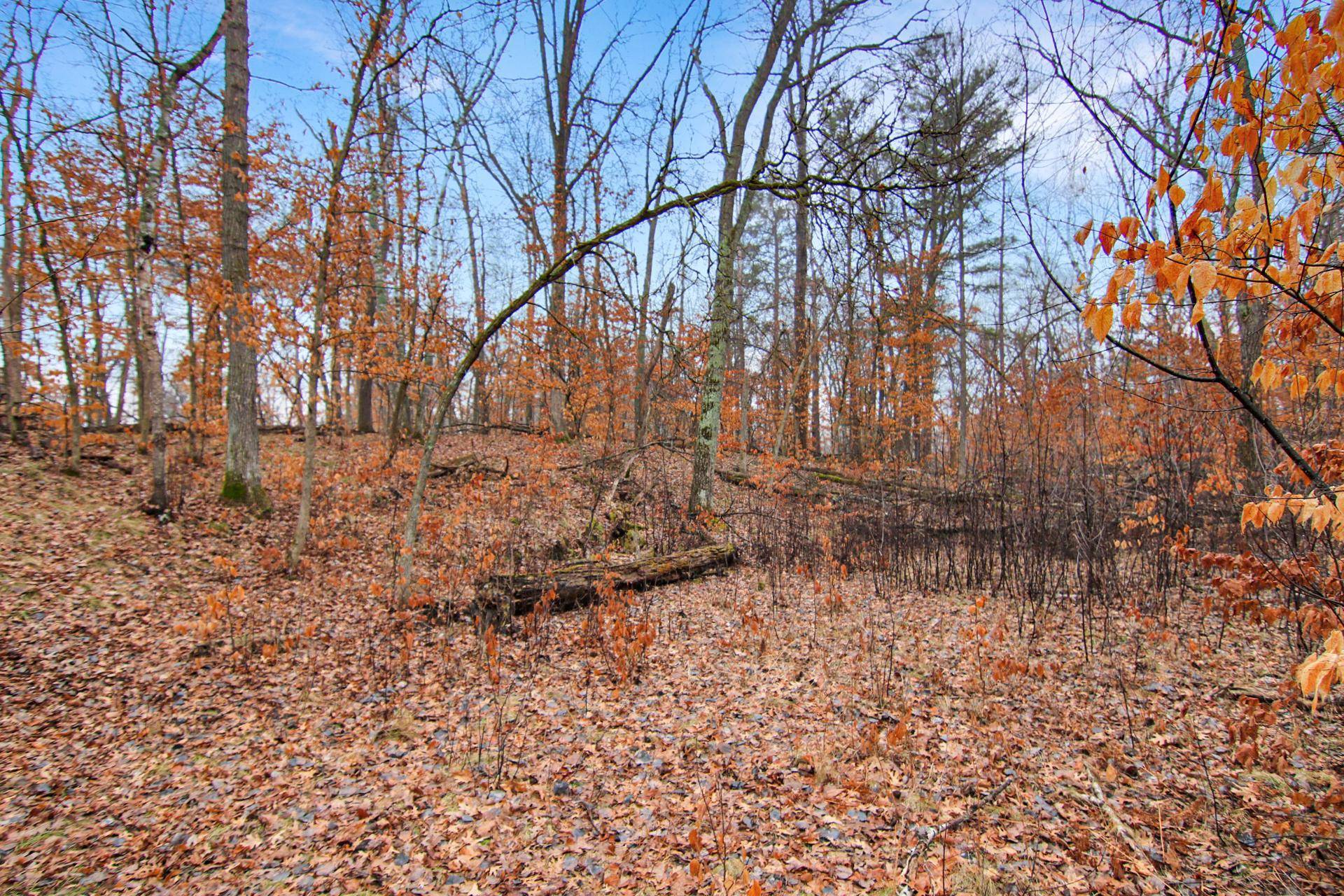 TBD Lots 200 & 201 Lynx Drive, Breezy Point, MN 56472
