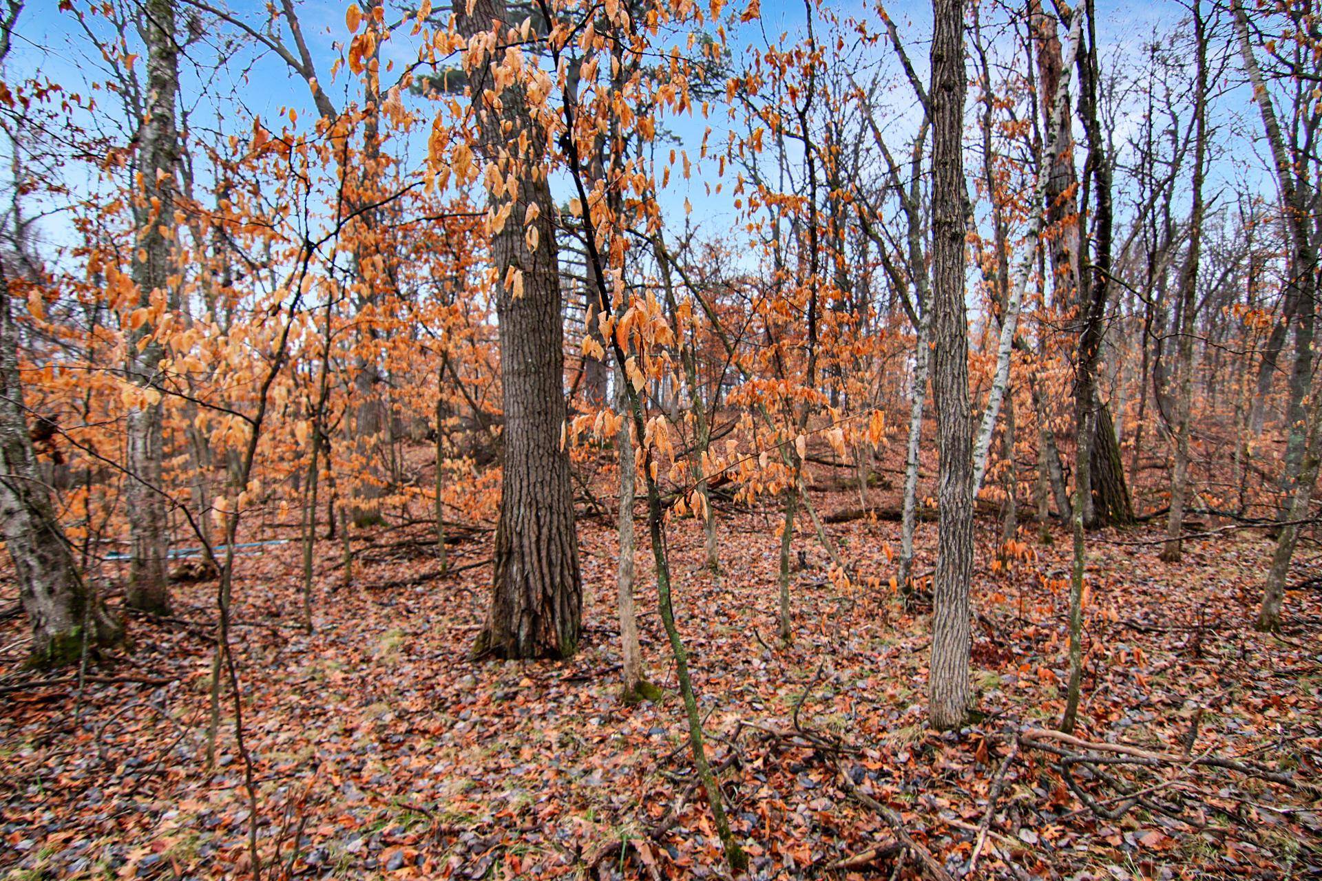 TBD Lots 200 & 201 Lynx Drive, Breezy Point, MN 56472
