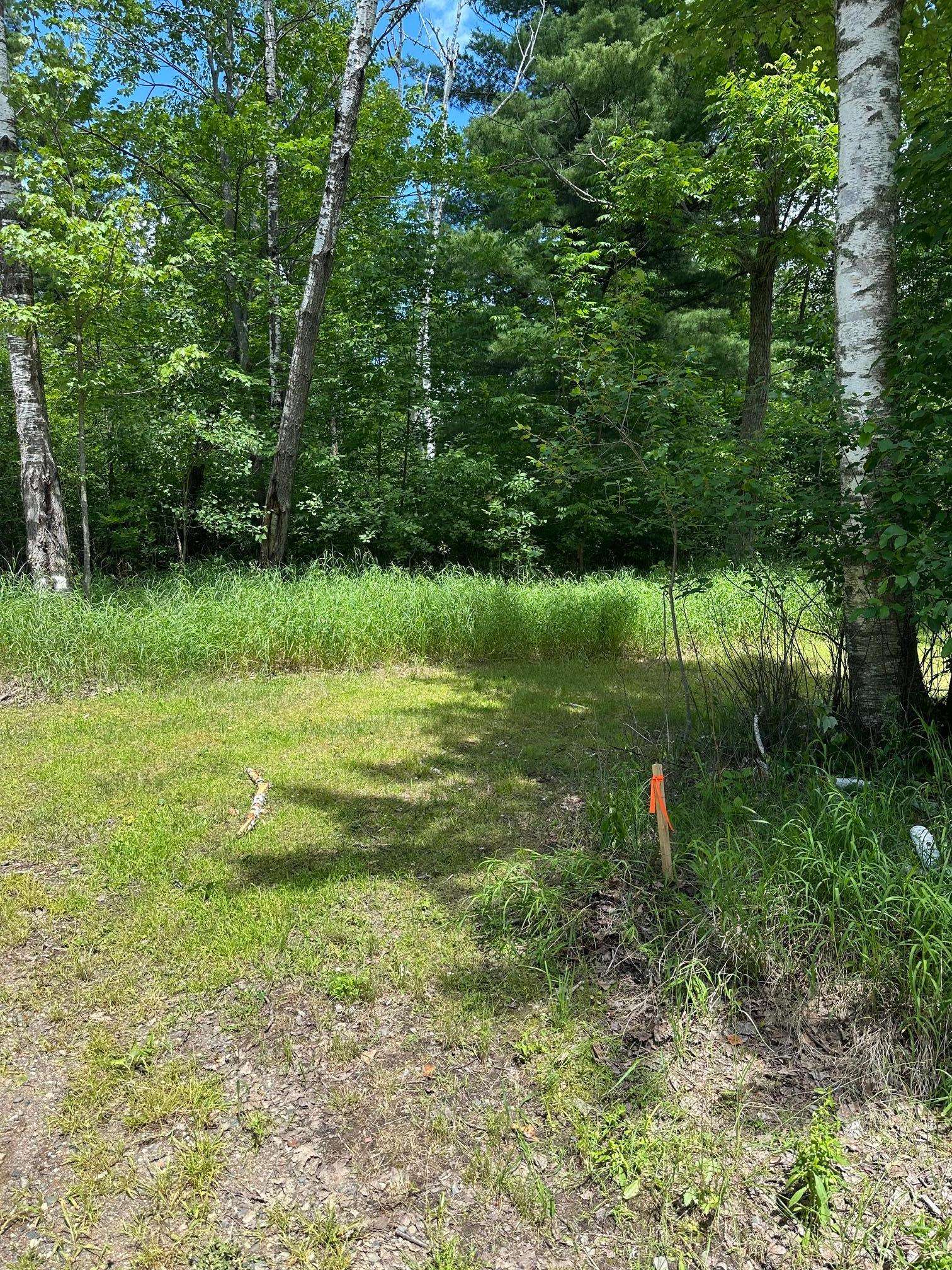 36599 Dove, Aitkin, MN 56431