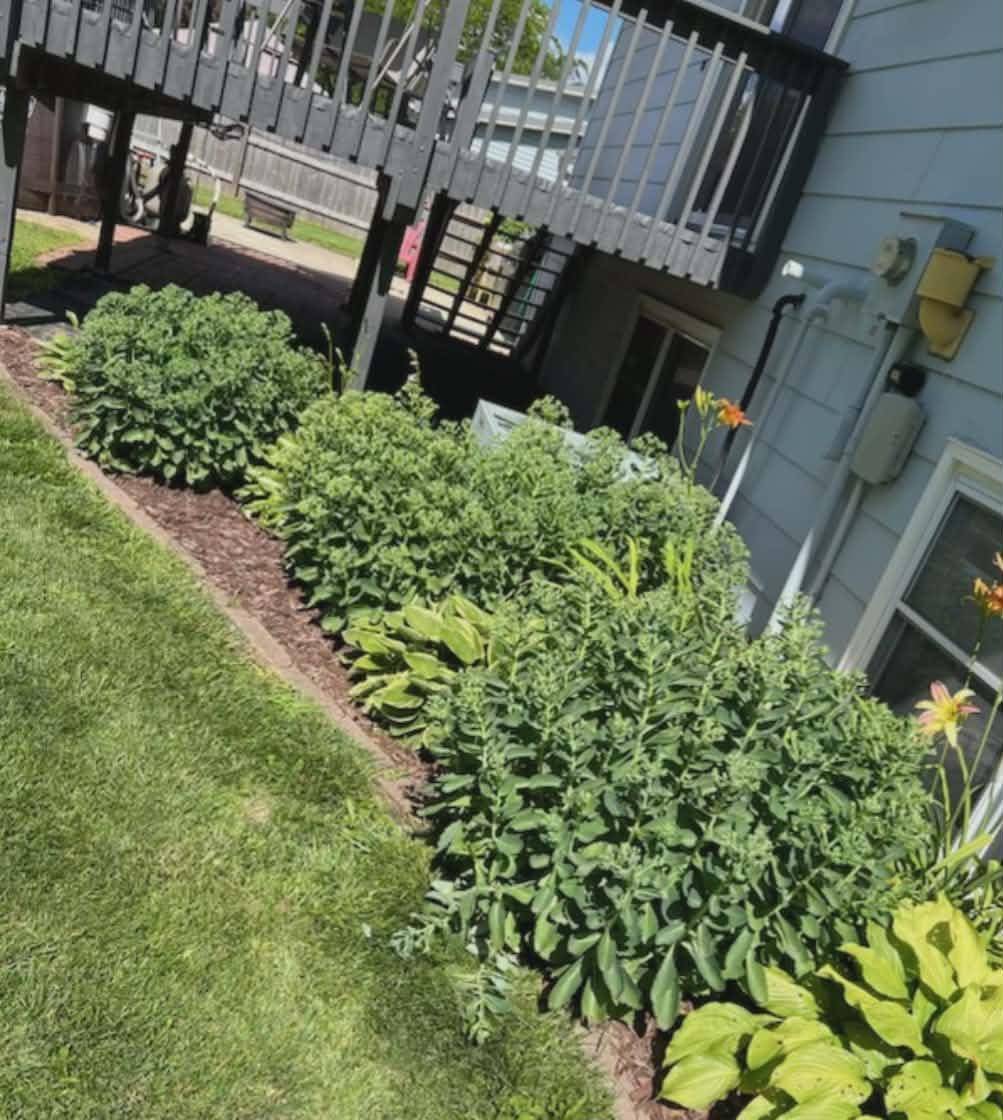 608 S 1st AVE E, Lake Mills, IA 50450