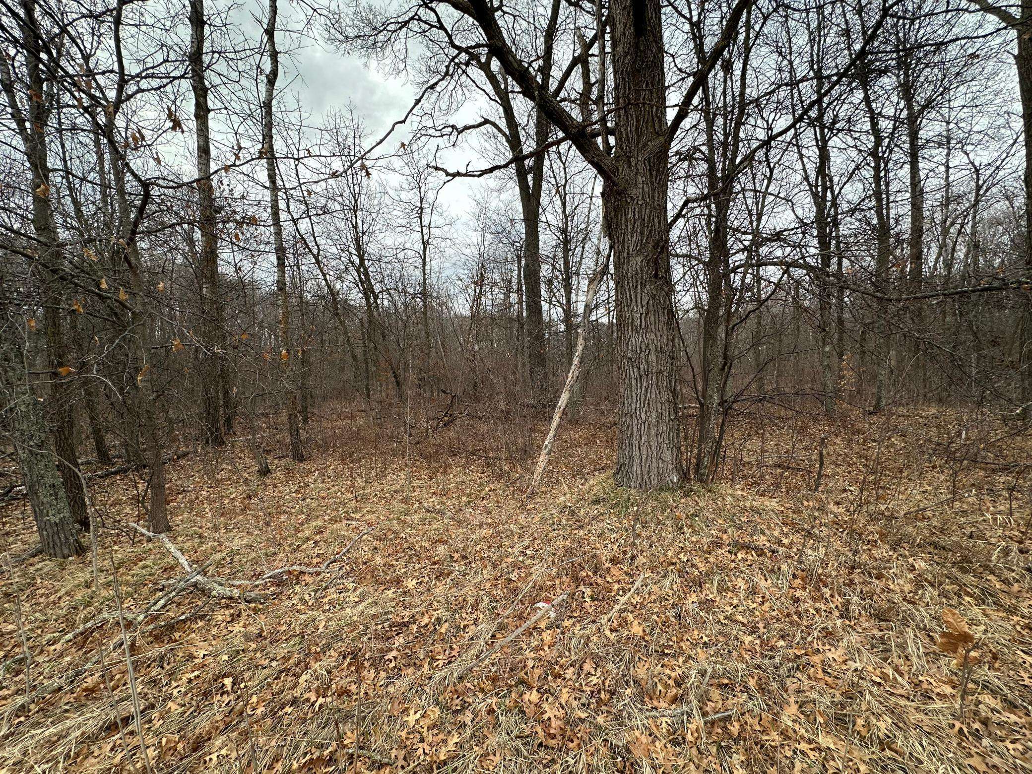 Lot 25 County Rd 11, Breezy Point, MN 56472