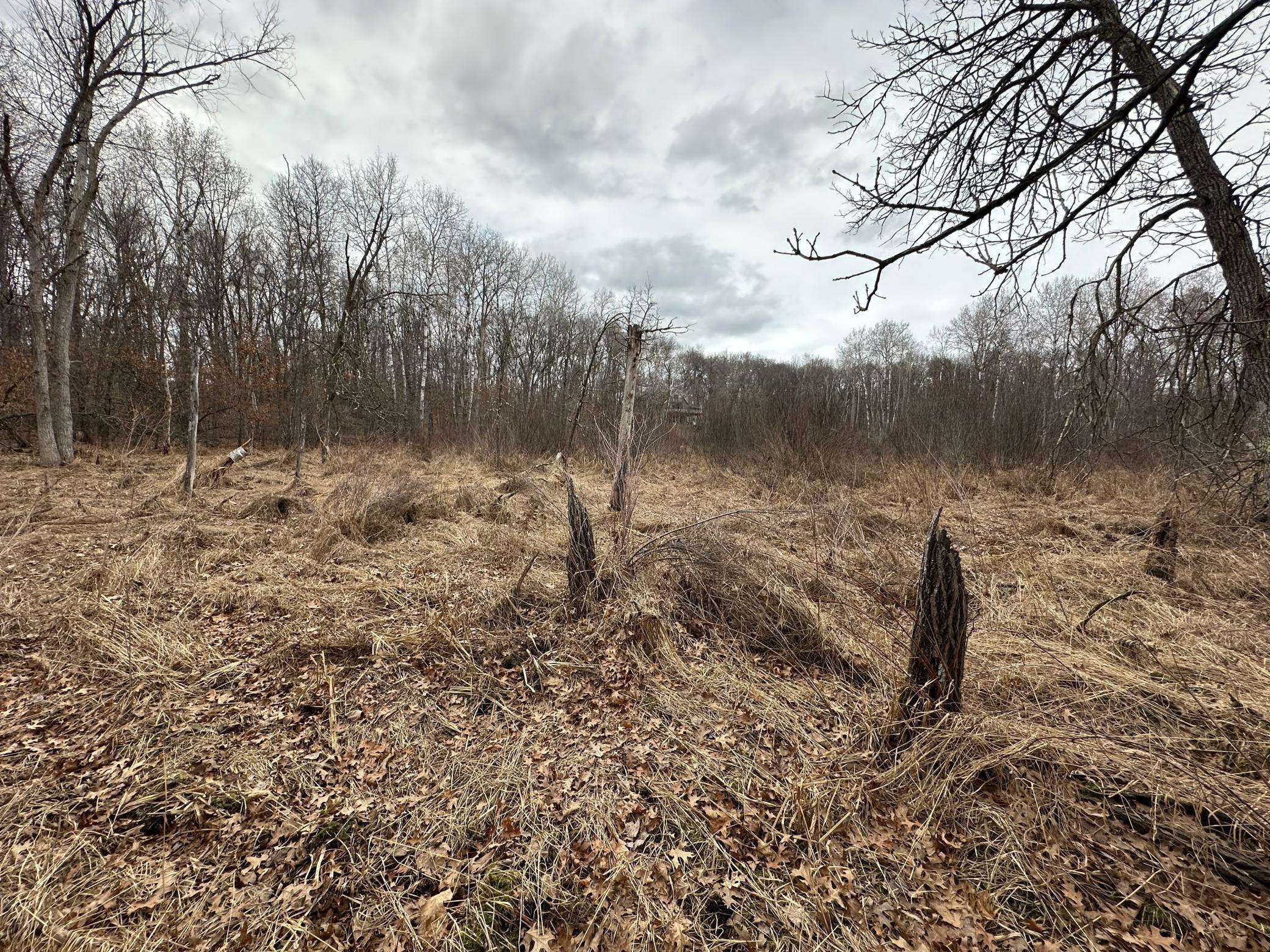 Lot 25 County Rd 11, Breezy Point, MN 56472