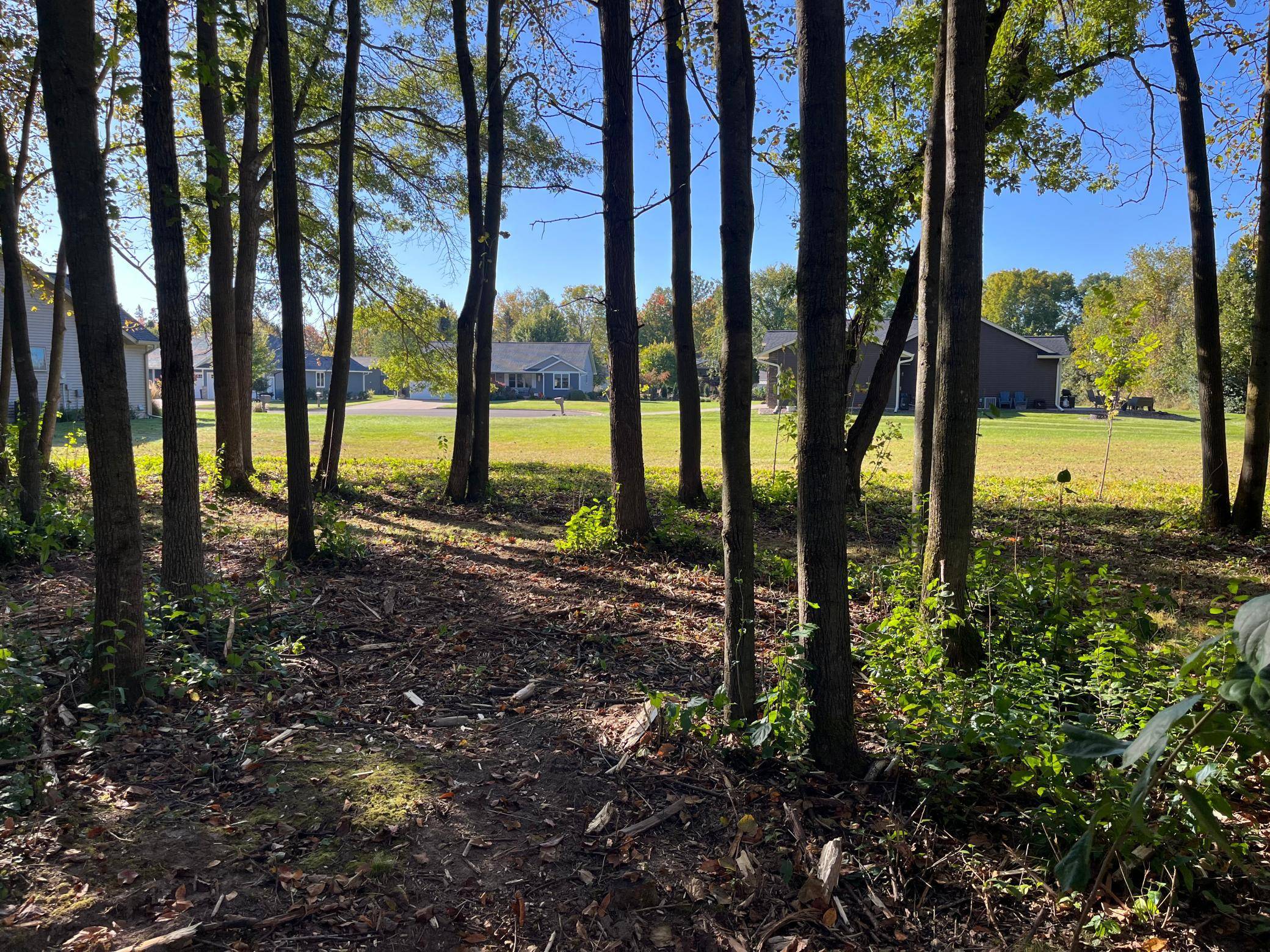 917 Scharbillig CT, Rice Lake, WI 54868