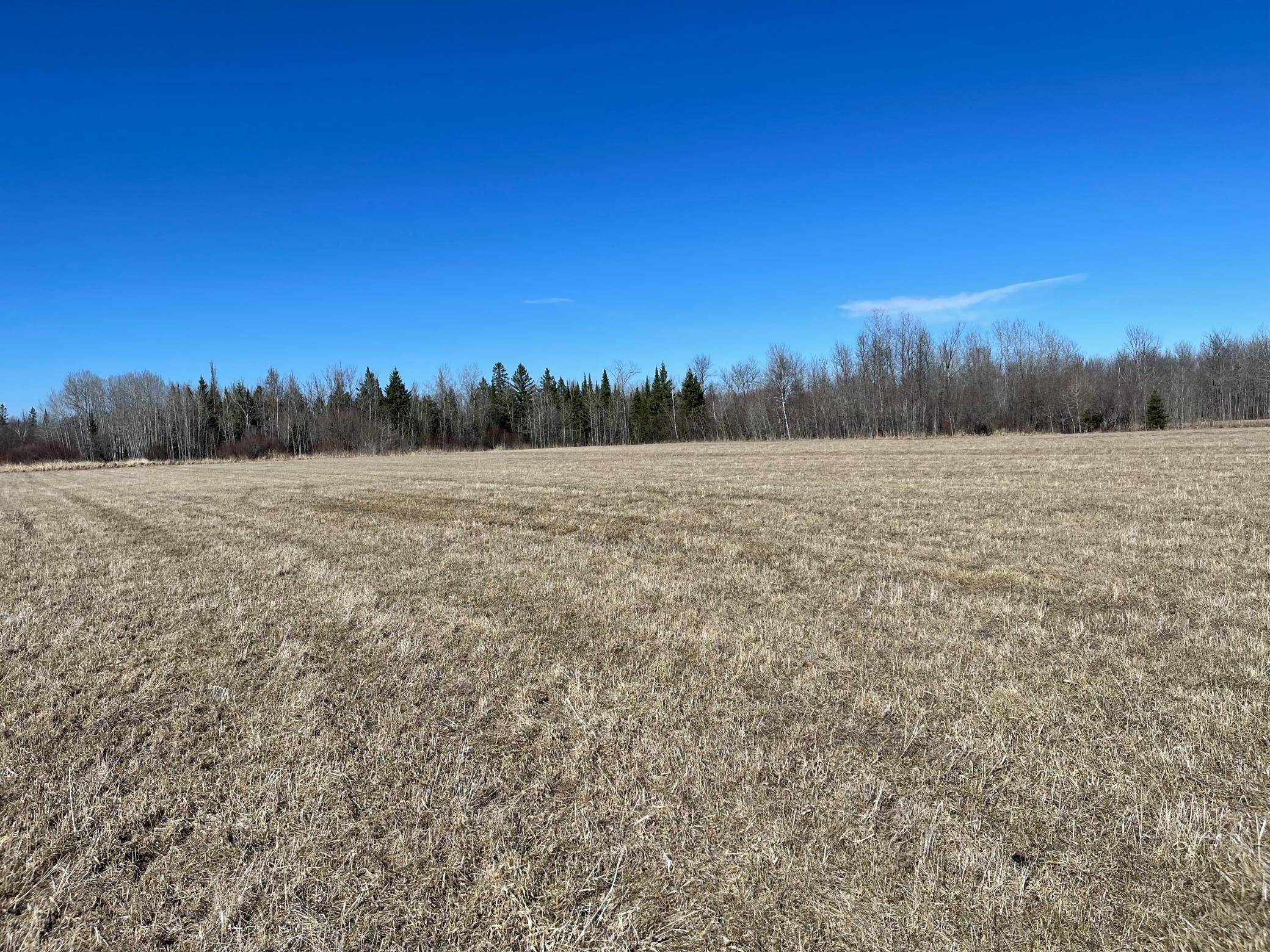 Hwy 133 Hwy # 133, Meadowlands, MN 55765
