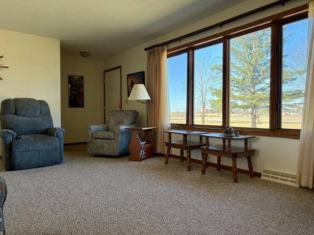 18680 Elk LOOP, Long Prairie, MN 56347