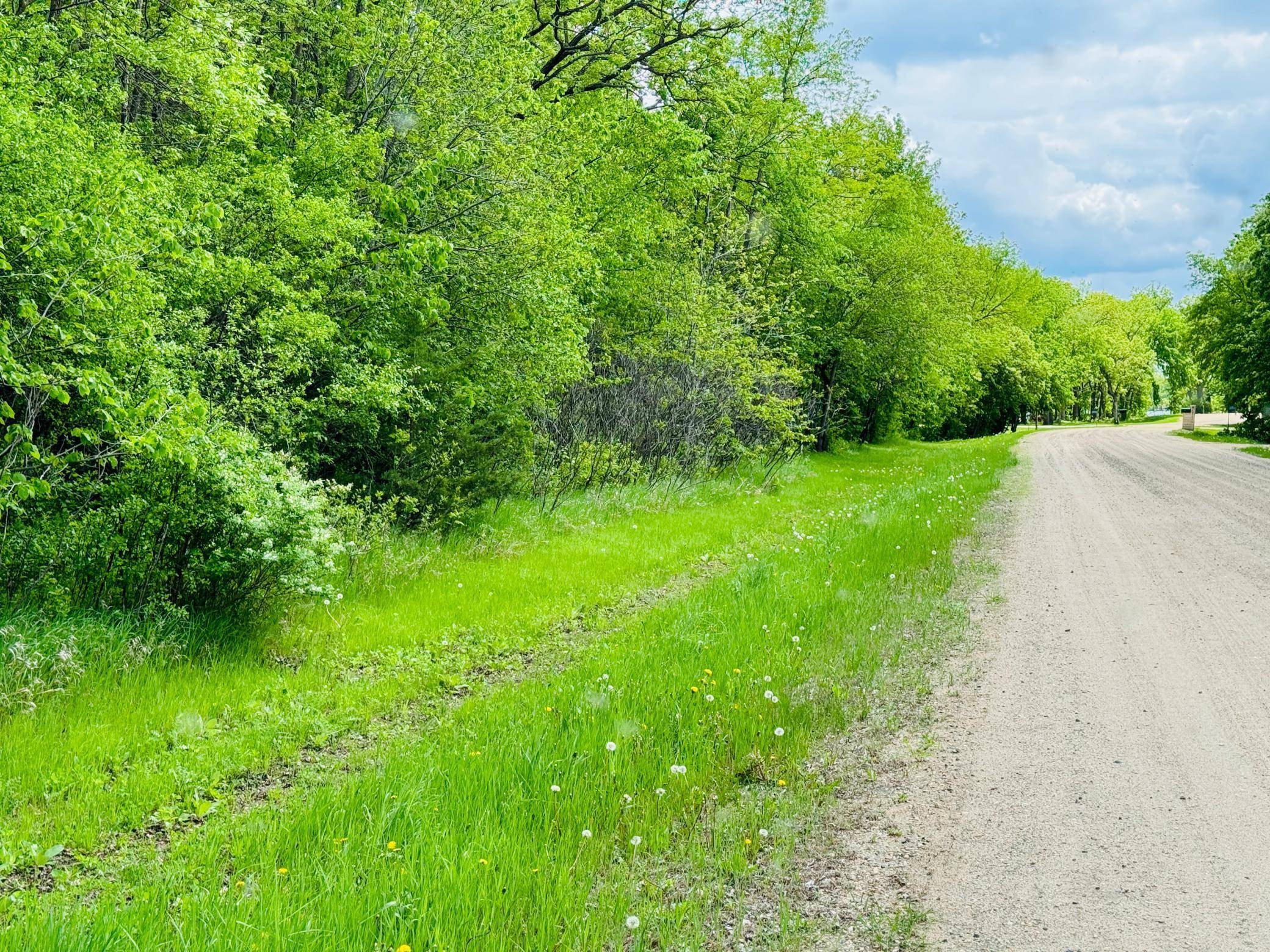 Lot 3 Canterbury Sands Trail, Battle Lake, MN 56515
