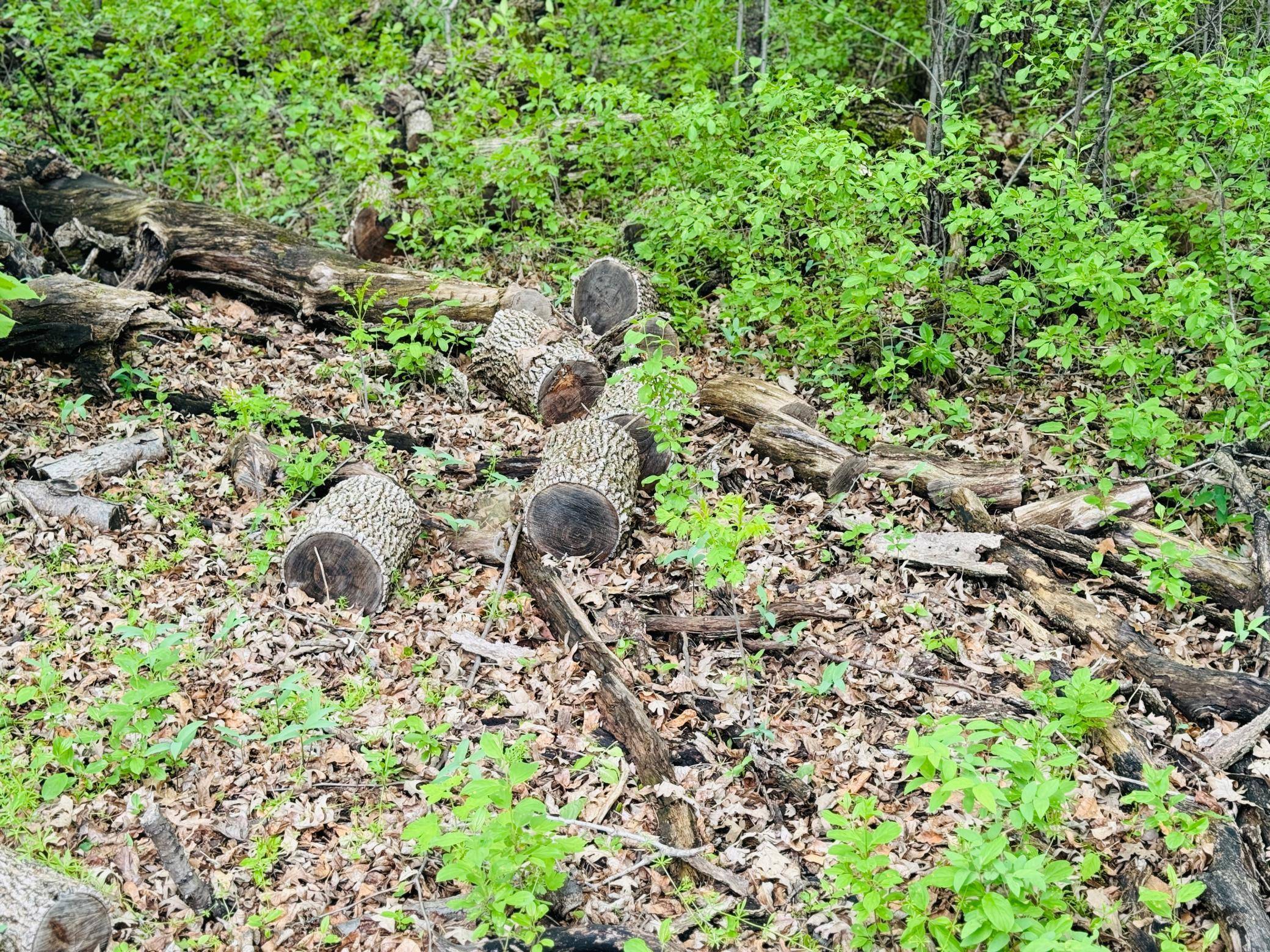 Lot 3 Canterbury Sands Trail, Battle Lake, MN 56515