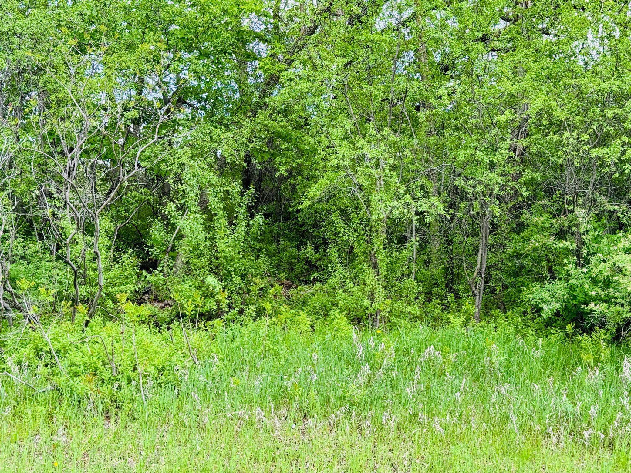 Lot 3 Canterbury Sands Trail, Battle Lake, MN 56515