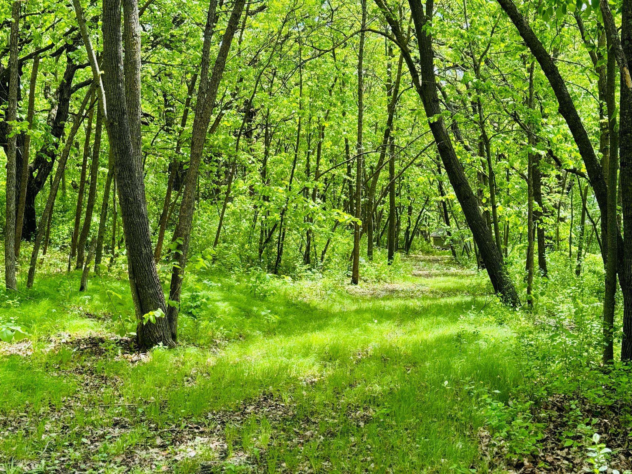 Lot 4 Canterbury Sands Trail, Battle Lake, MN 56515