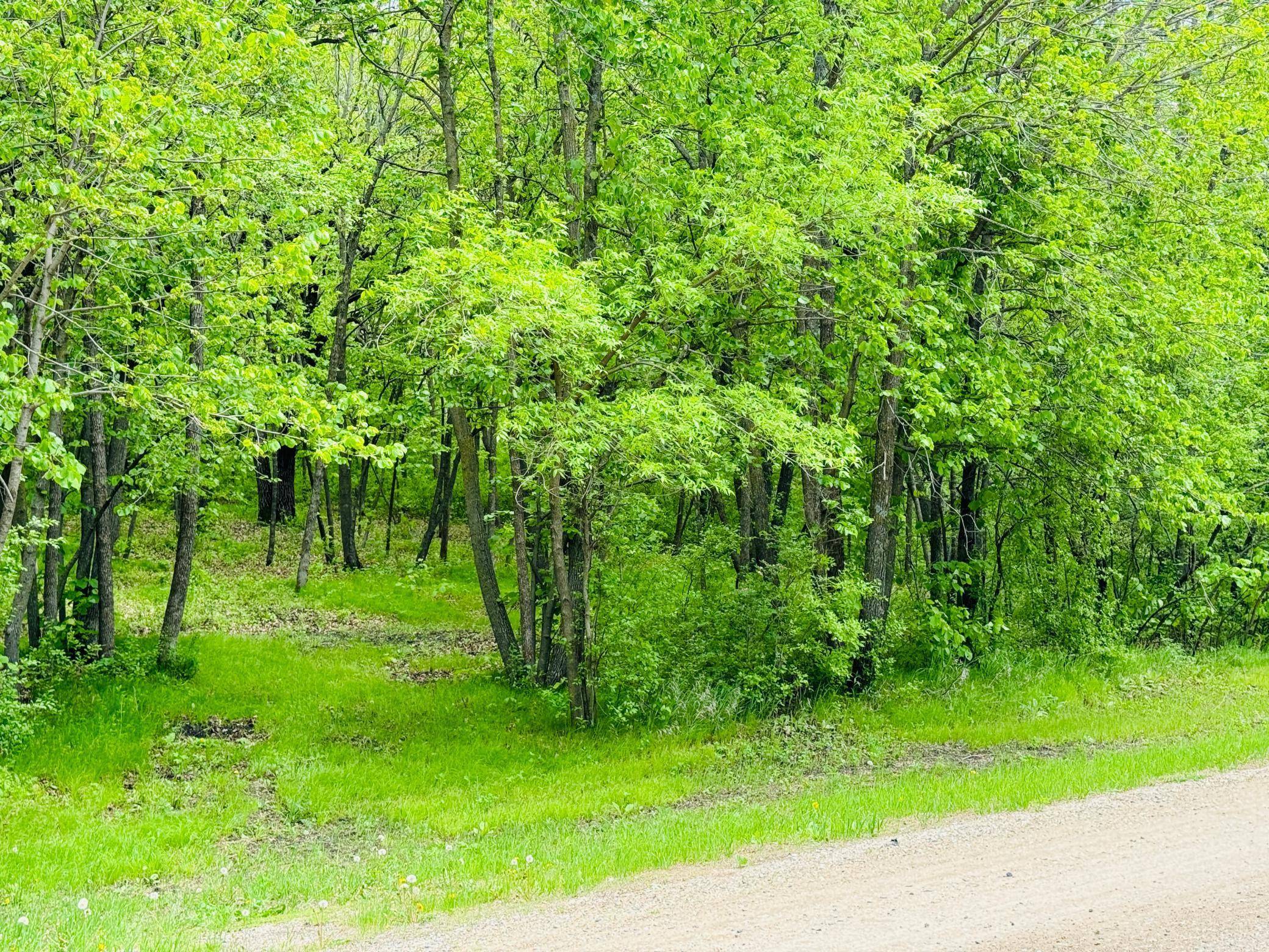Lot 4 Canterbury Sands Trail, Battle Lake, MN 56515