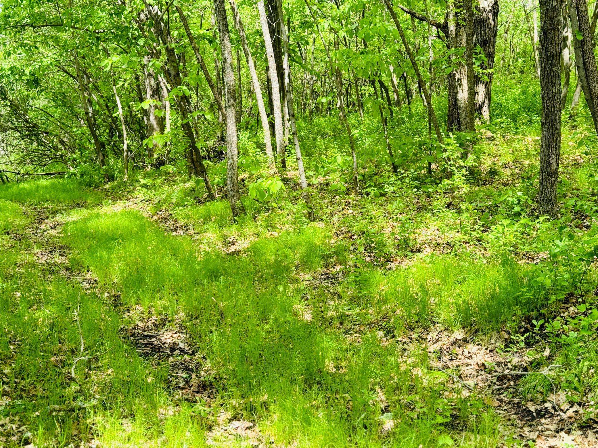 Lot 4 Canterbury Sands Trail, Battle Lake, MN 56515