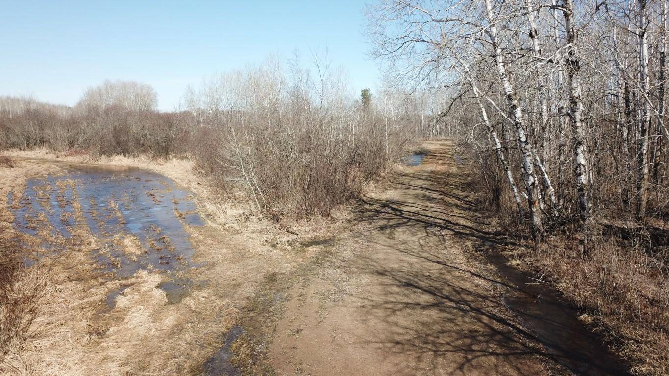 TBD Basswood Drive, Cushing, MN 56443