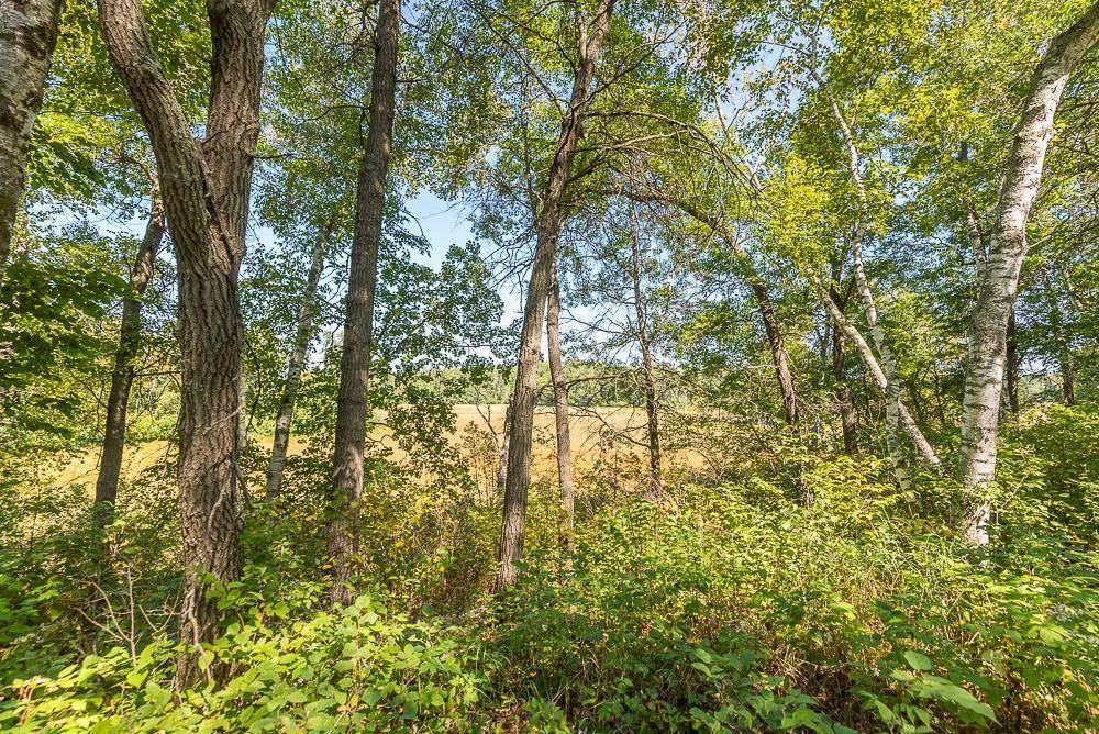 Tract C TBD Little Pine RD, Brainerd, MN 56401