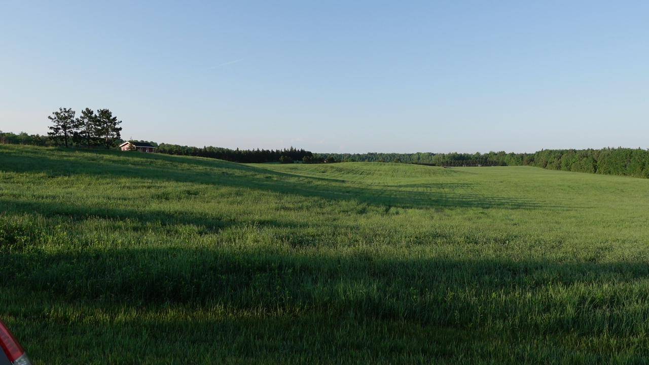 TBD Bakkum RD NE, Bemidji, MN 56601