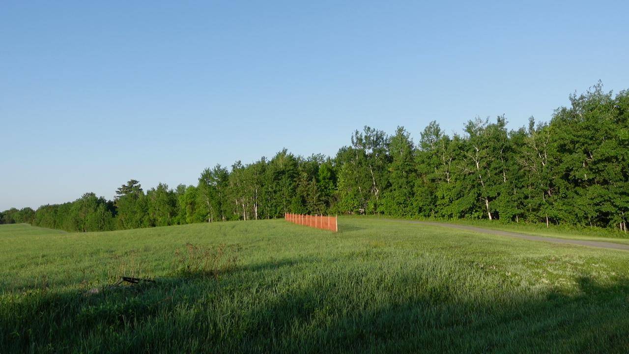 TBD Bakkum RD NE, Bemidji, MN 56601
