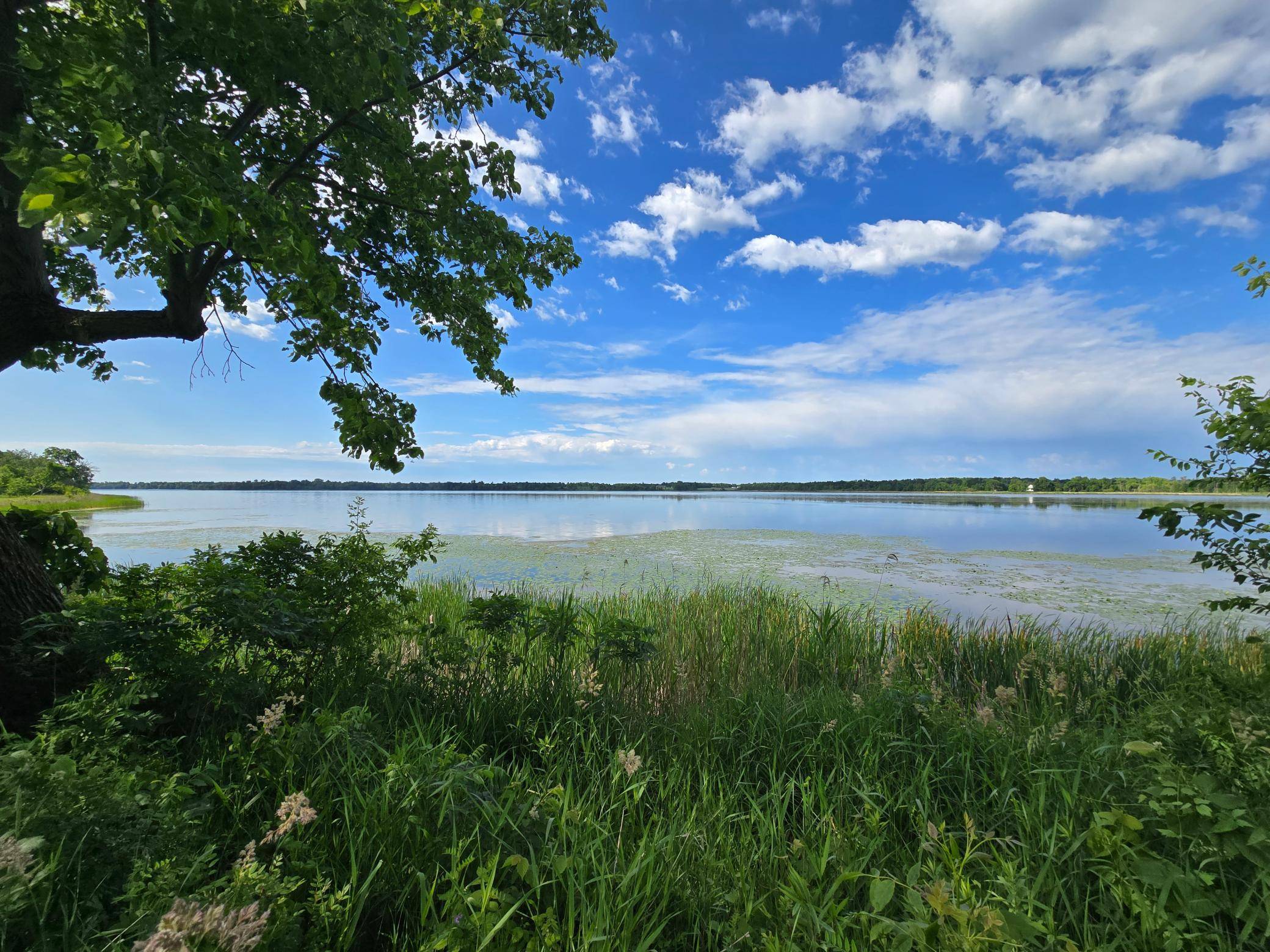 TBD 405th AVE, Richville, MN 56576