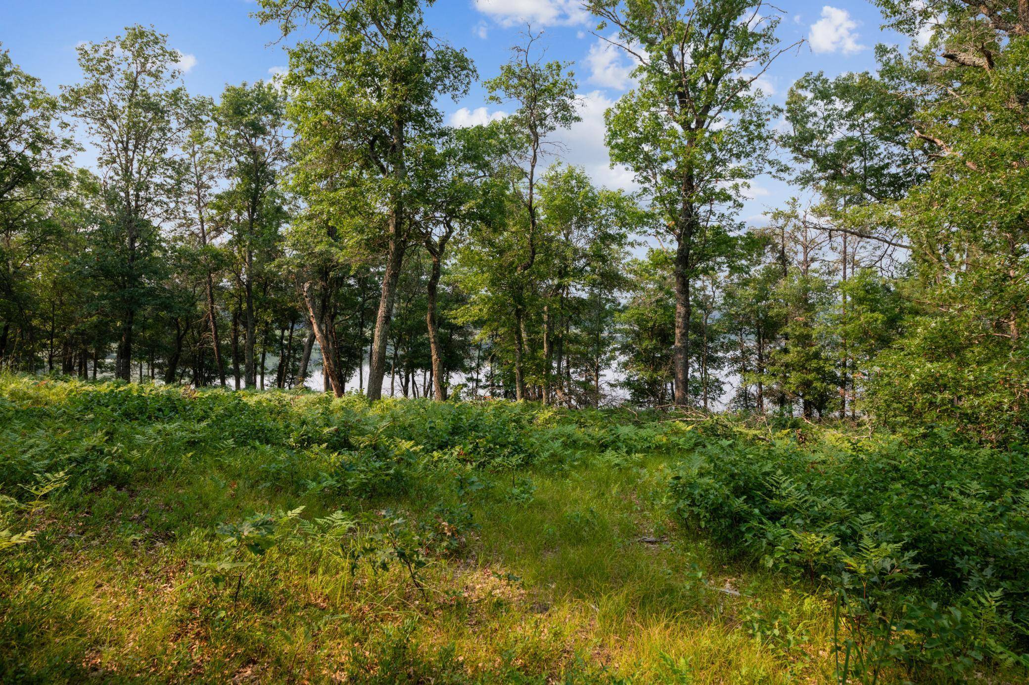 Lot 9 Crystal Lake DR, Danbury, WI 54830