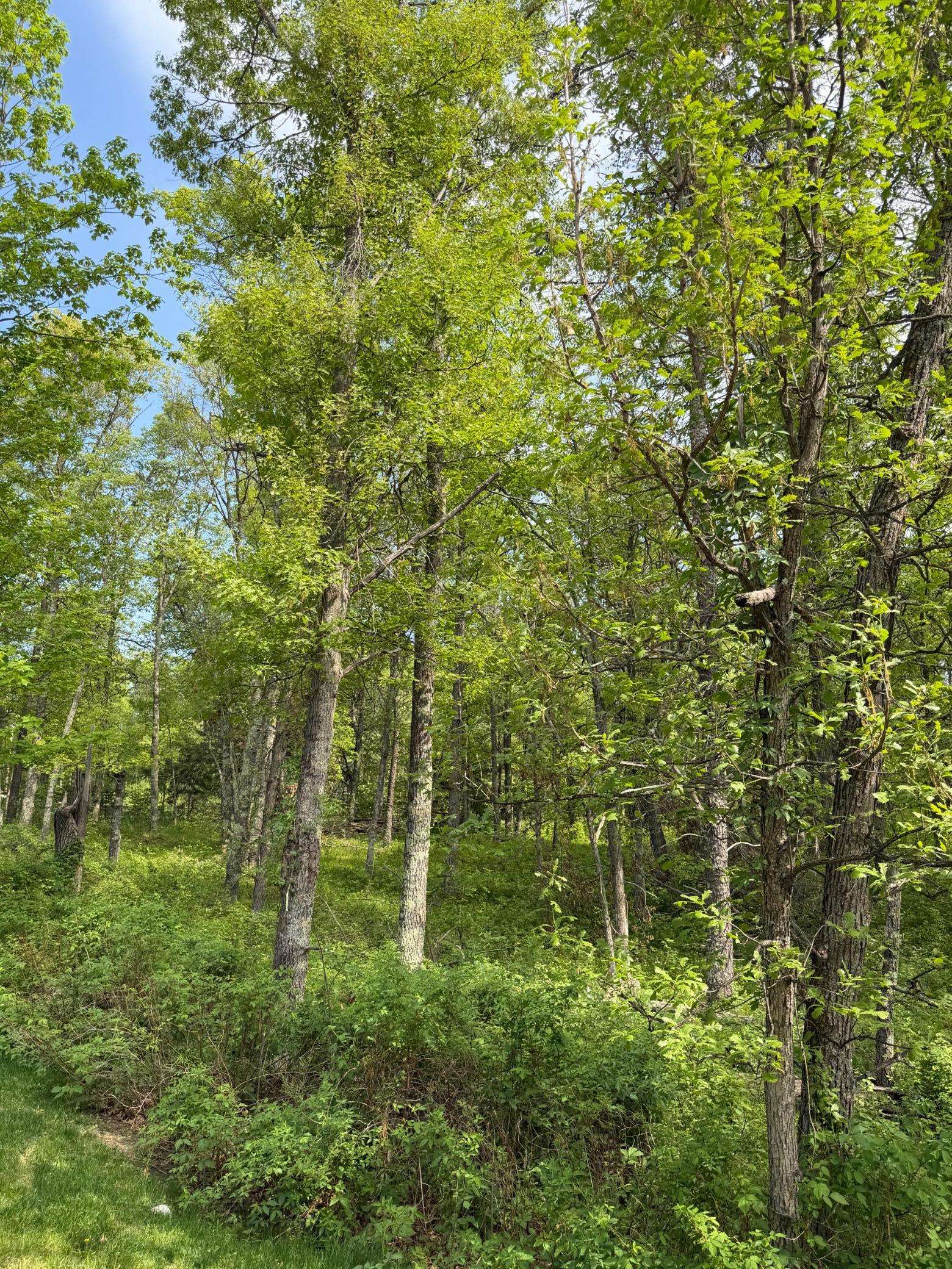 0 Sugarloaf RD, Crosslake, MN 56442