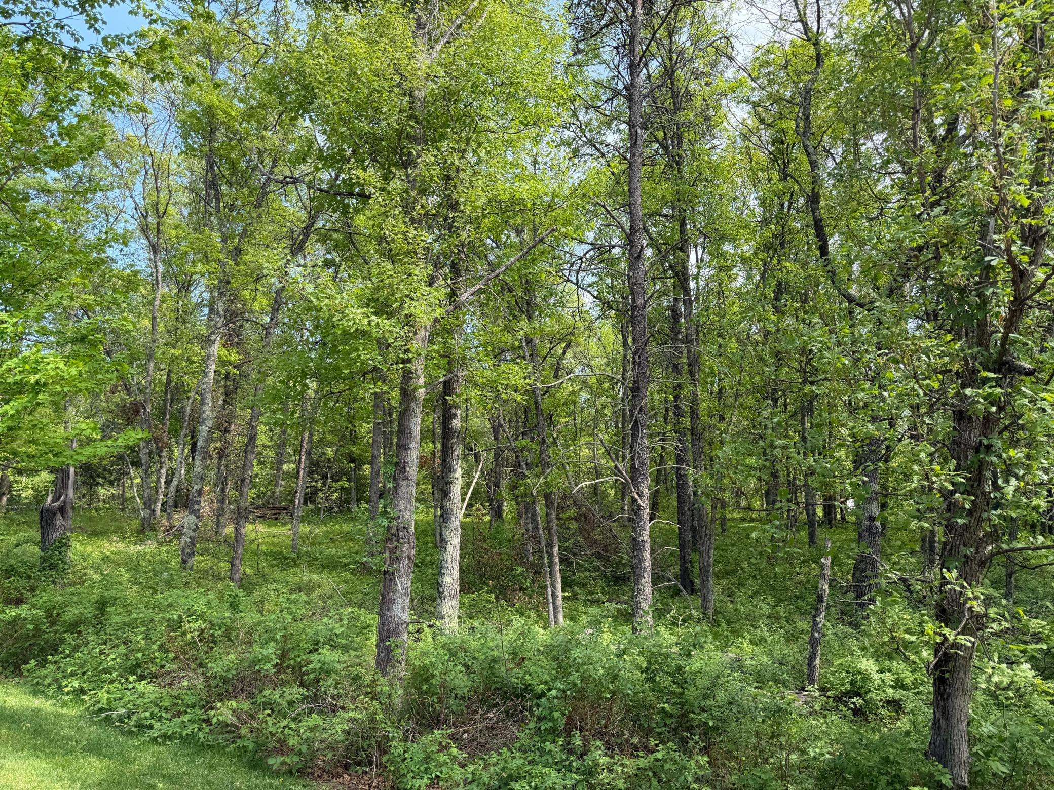0 Sugarloaf RD, Crosslake, MN 56442