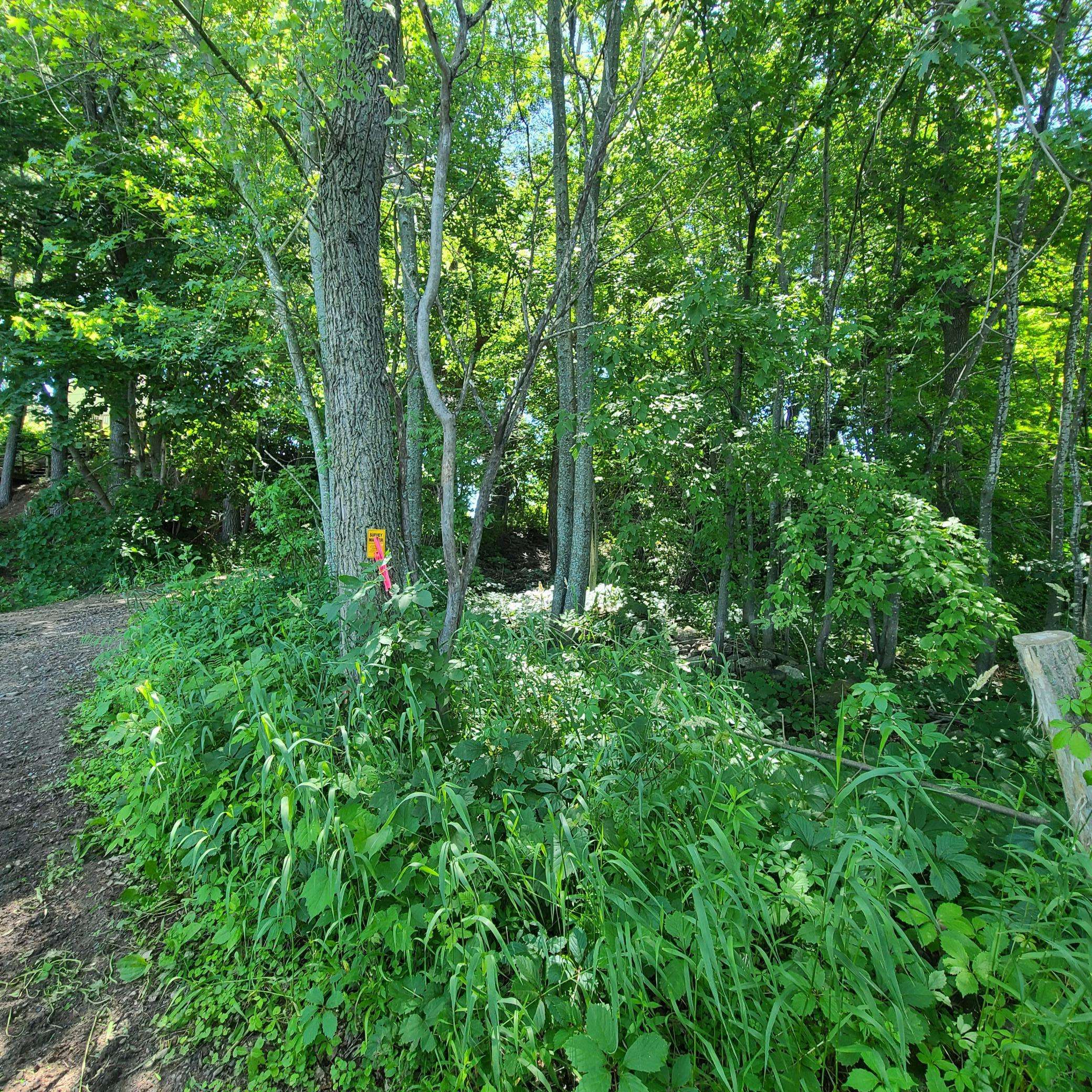 TBD Sunset Trail, Pine City, MN 55063