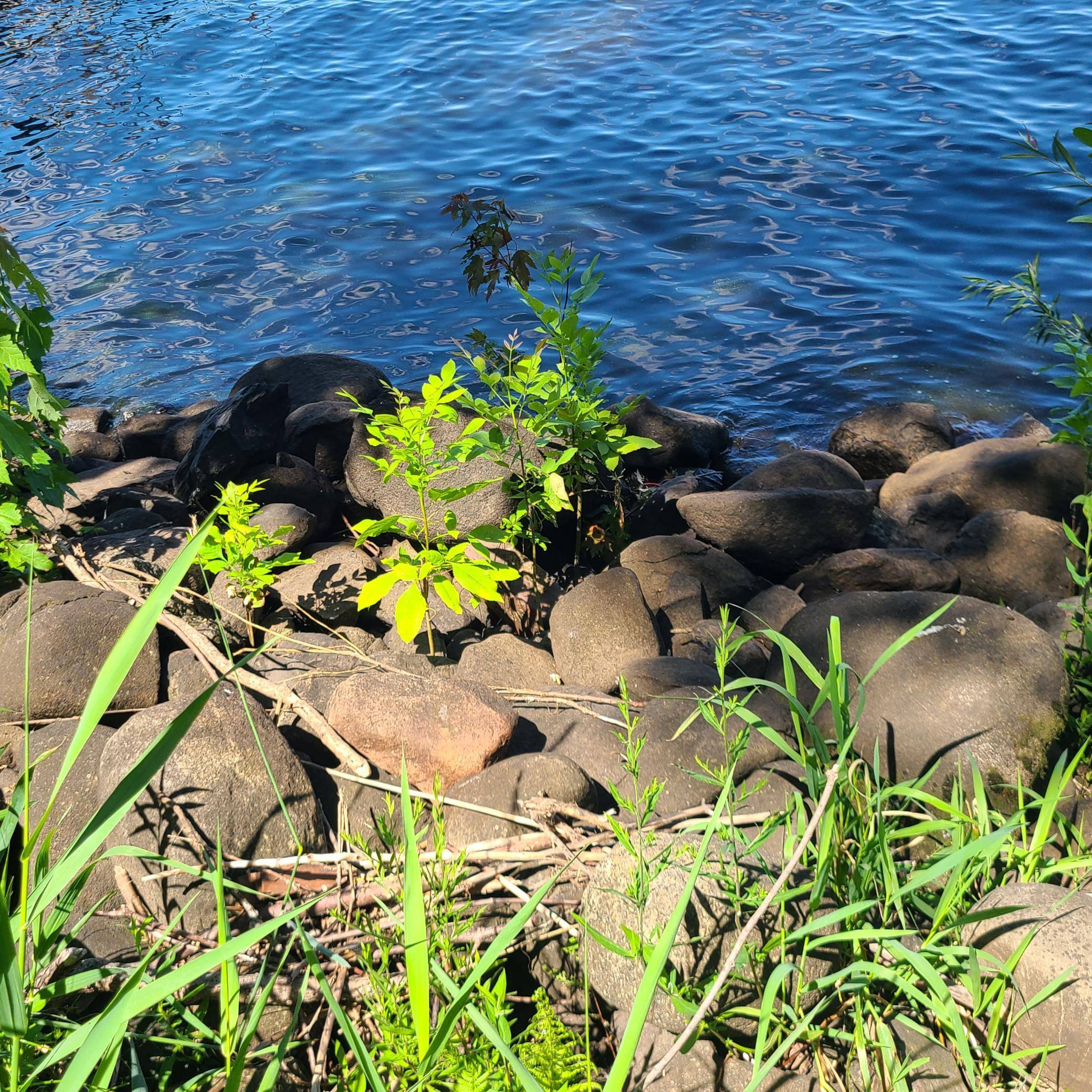 TBD Sunset Trail, Pine City, MN 55063