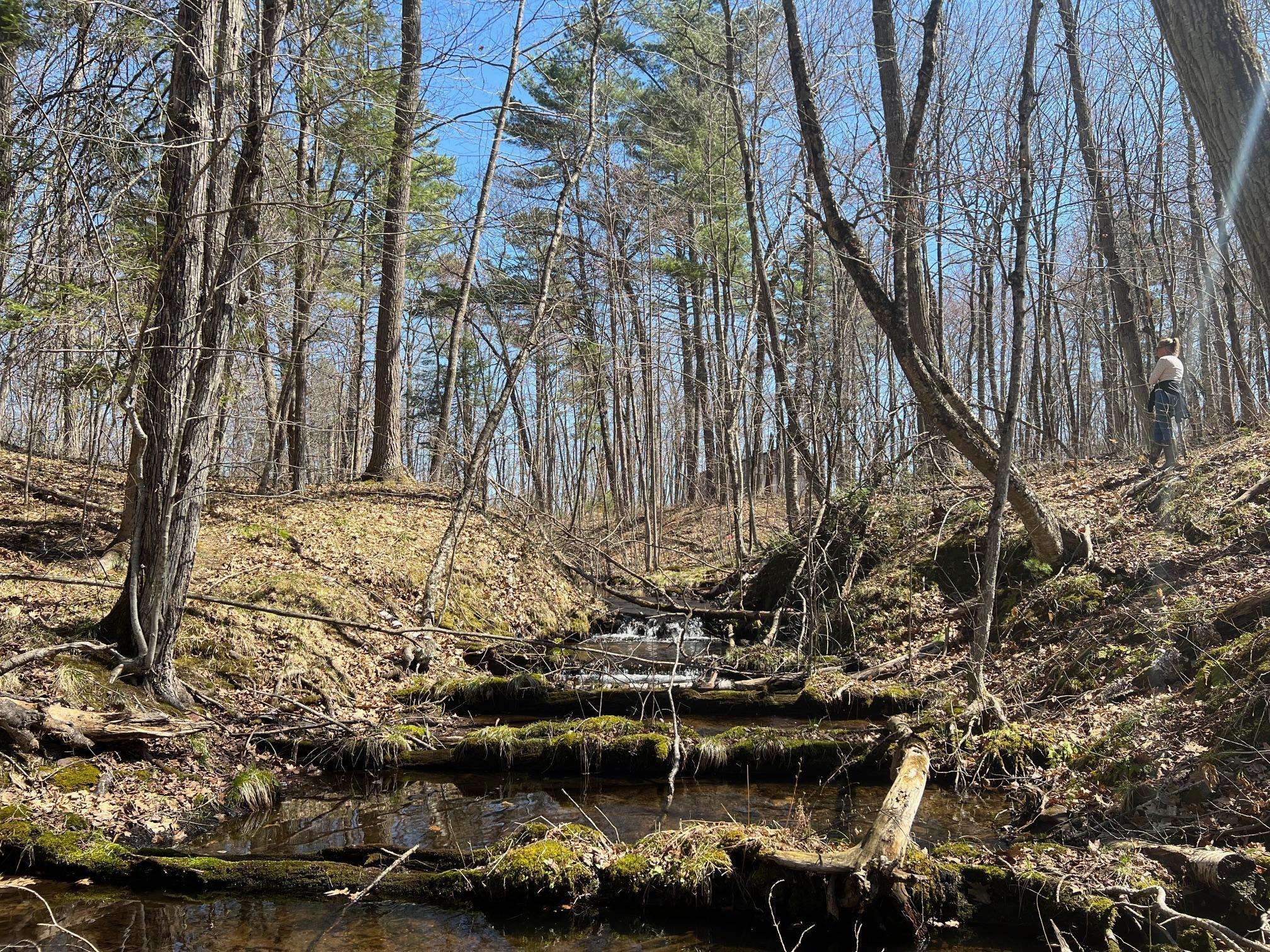 TBD Red Oak LN, Stone Lake, WI 54876