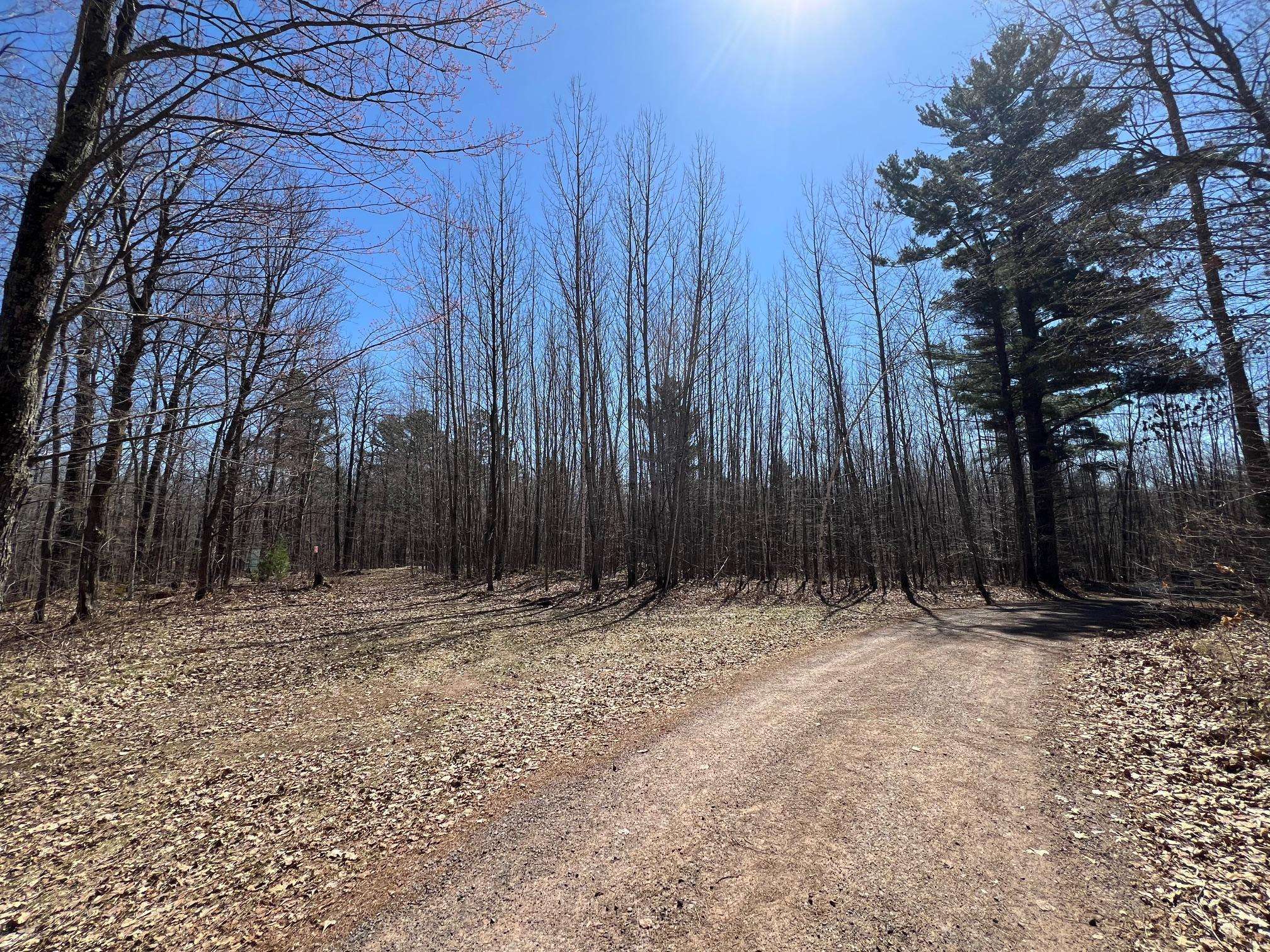 43TBD Red Oak LN, Stone Lake, WI 54876