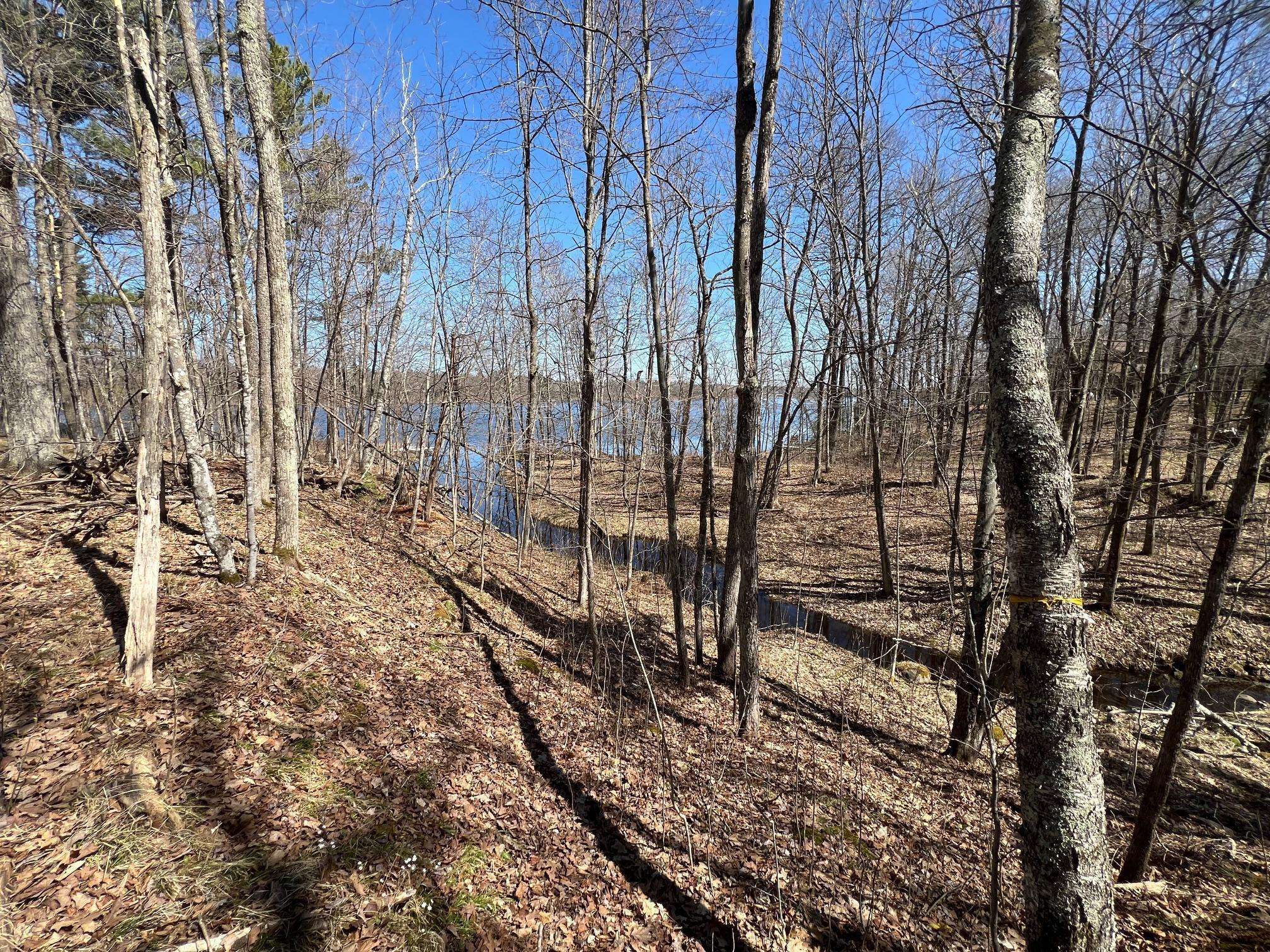 43TBD Red Oak LN, Stone Lake, WI 54876