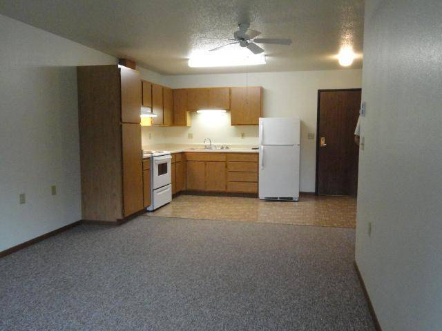 222 1st AVE NE #5, Eagle Bend, MN 56446