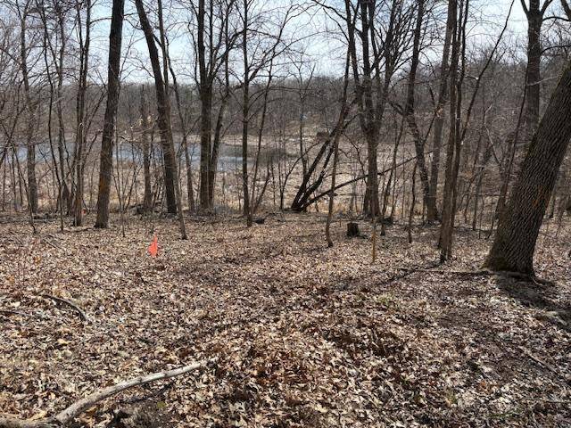 TBD Paradise DR, Browerville, MN 56438
