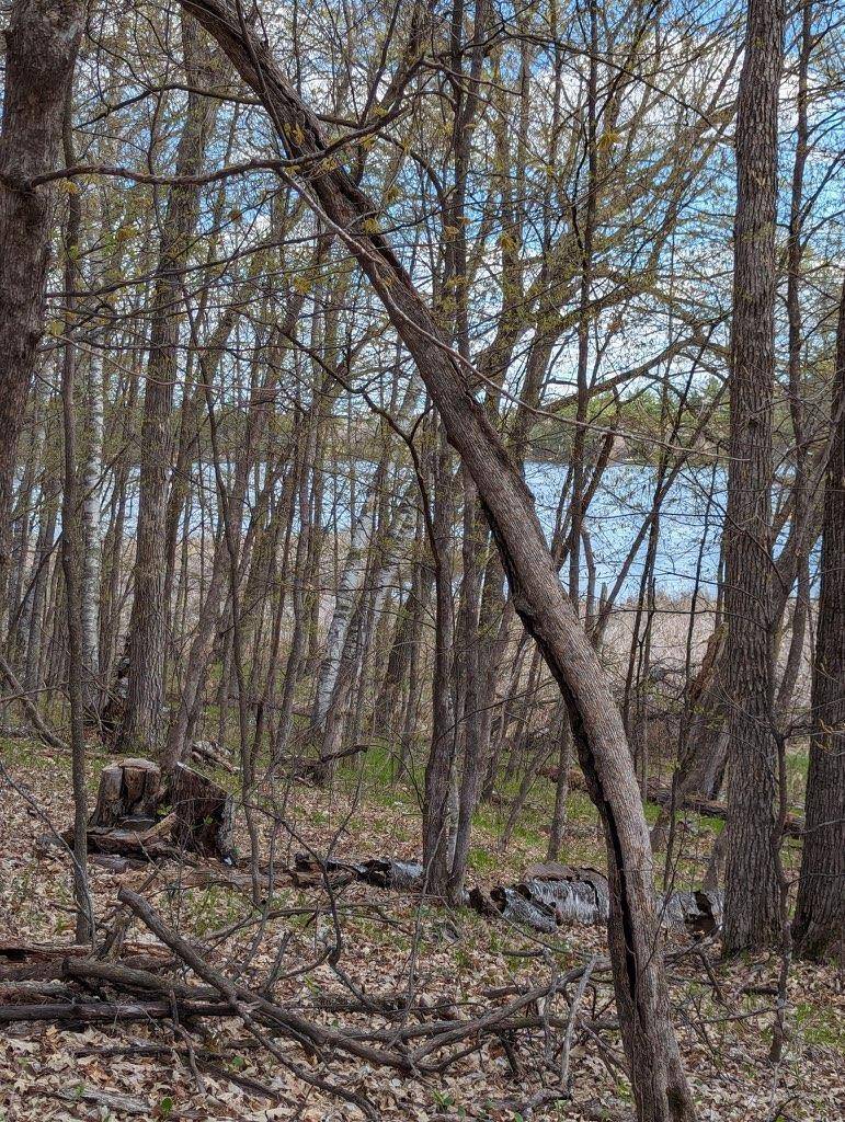 TBD Paradise DR, Browerville, MN 56438