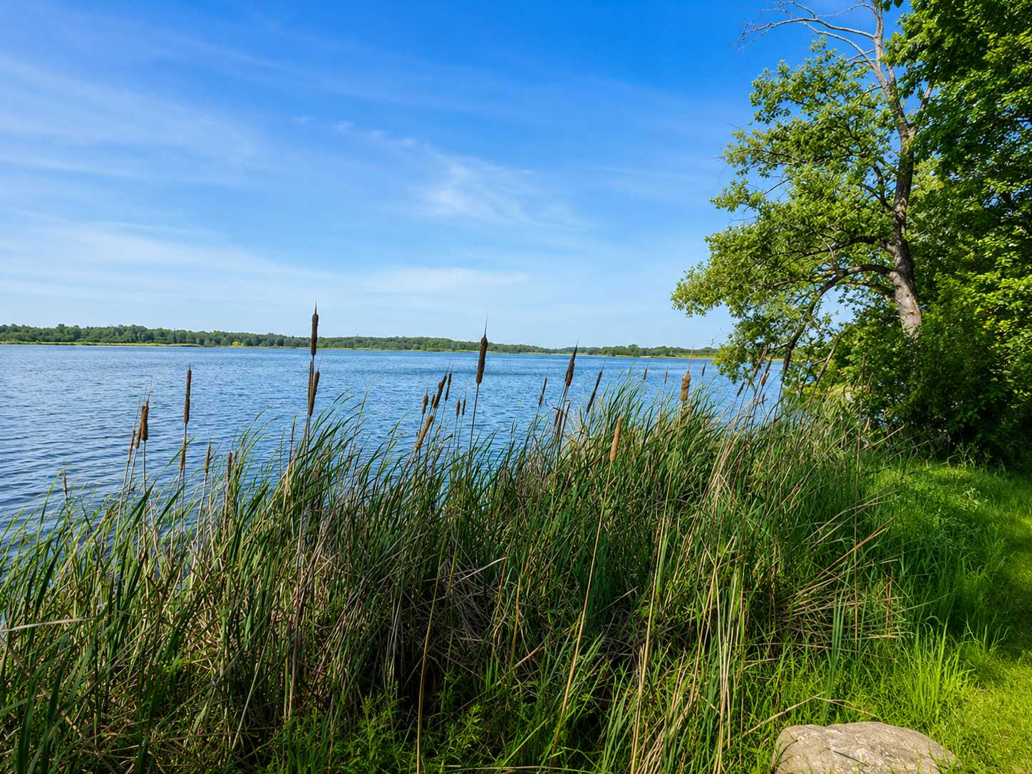 12795 183rd ST, Cold Spring, MN 56320
