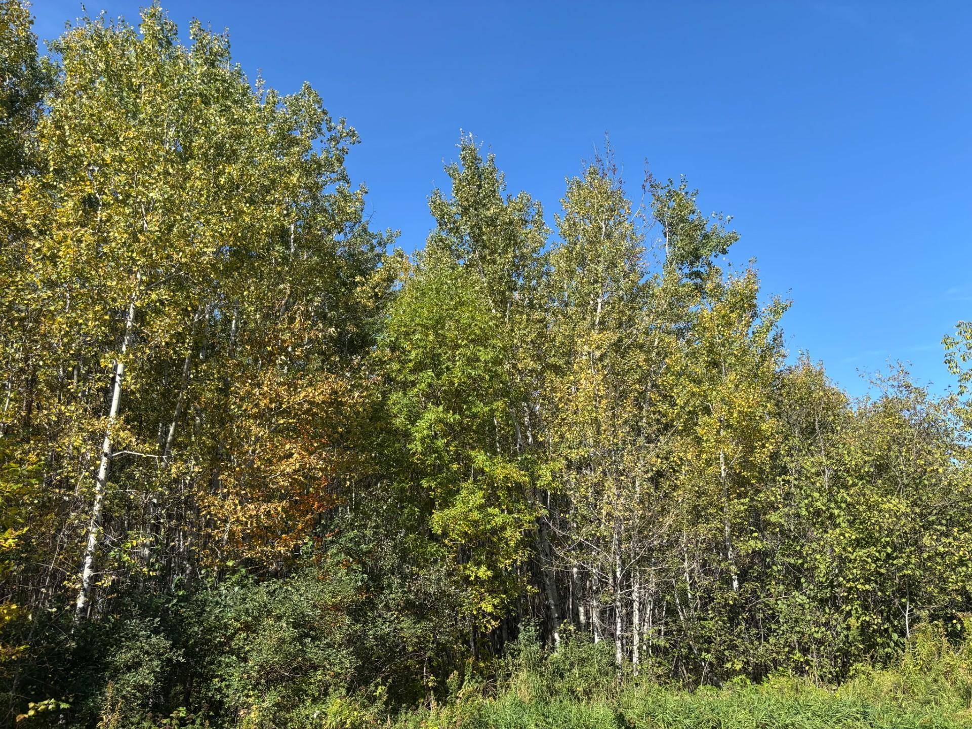 XXX Garfield ST, Cloquet, MN 55720