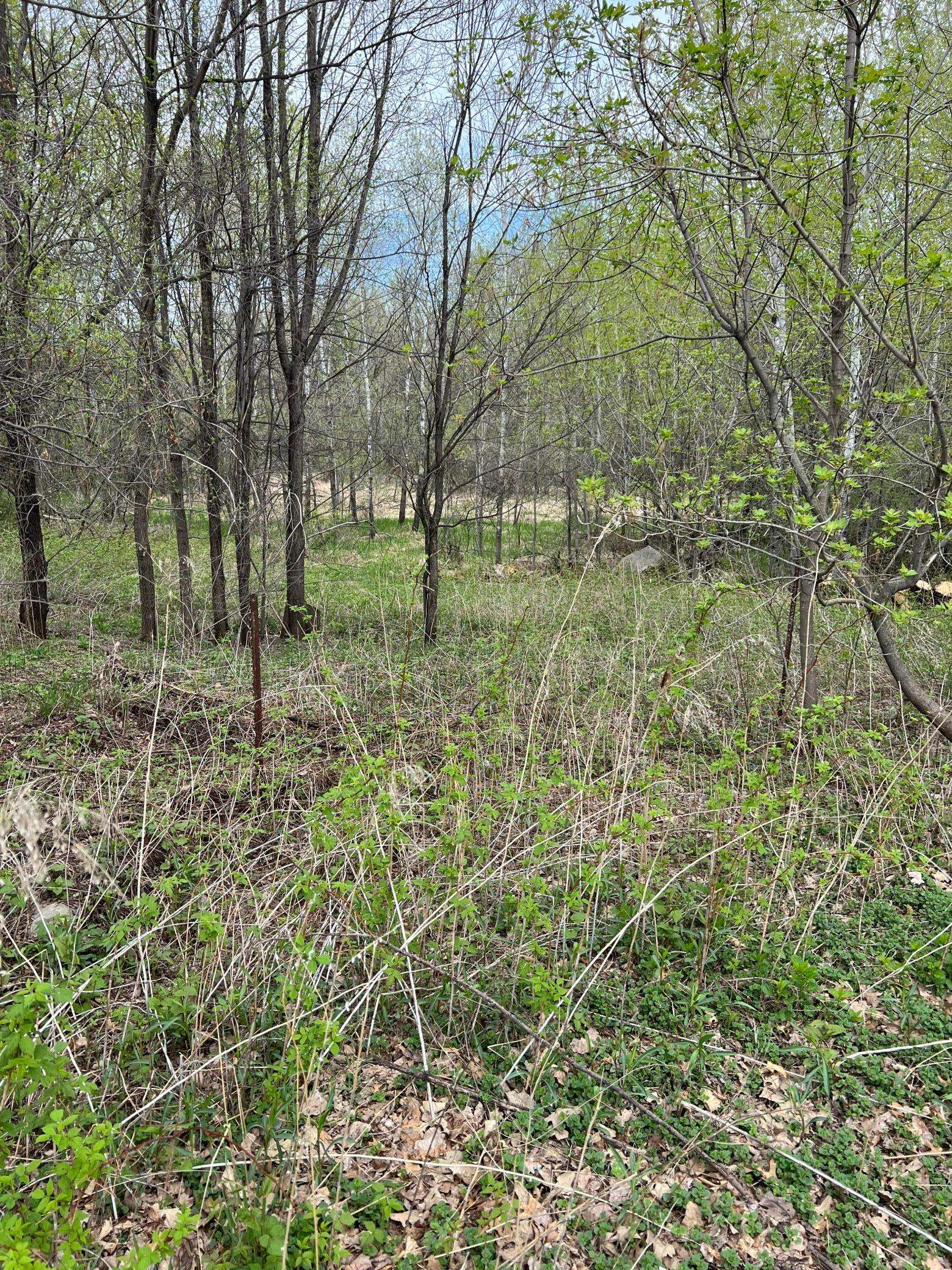 TBD Maple ST N, Royalton, MN 56373