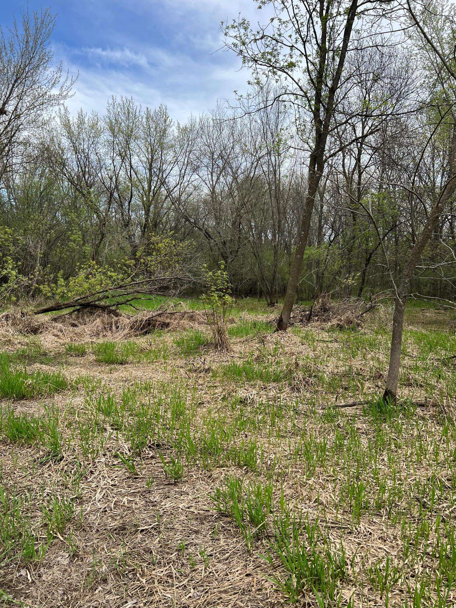 TBD Maple ST N, Royalton, MN 56373