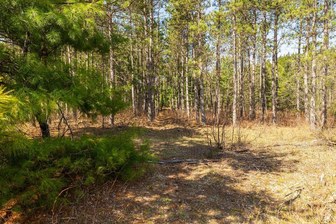 0 Prairie RD E, Osseo, WI 54758