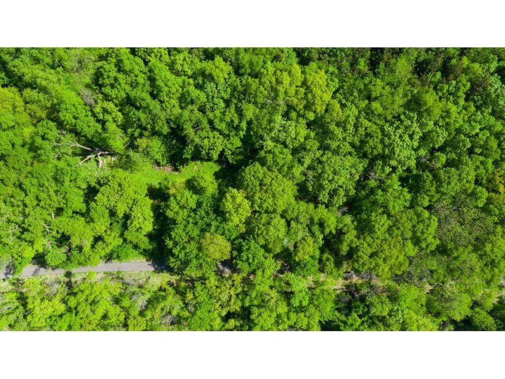 12991 Point Douglas DR S, Hastings, MN 55033